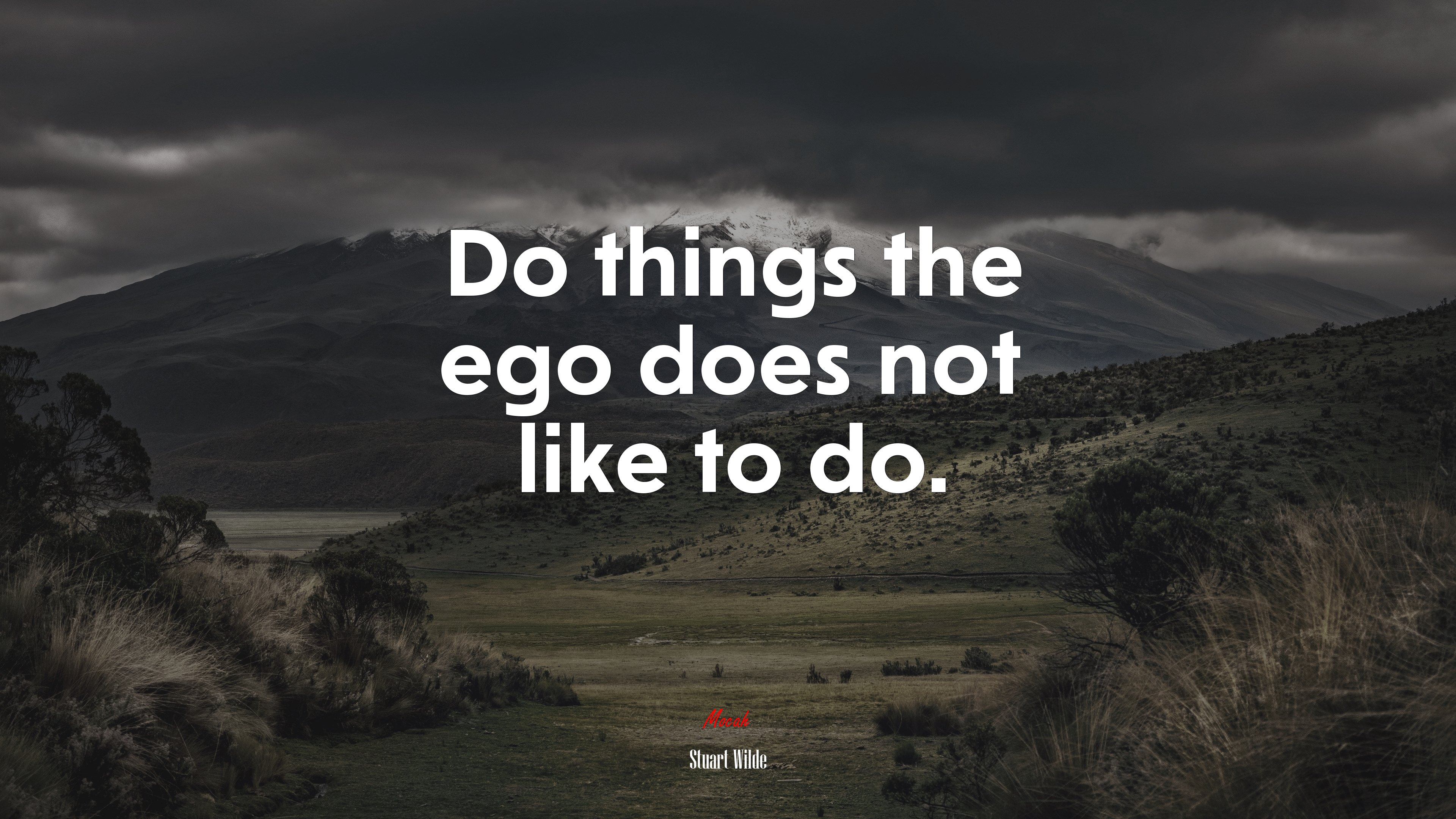 Do things the ego does not like to do. | Stuart Wilde quote HD Wallpaper