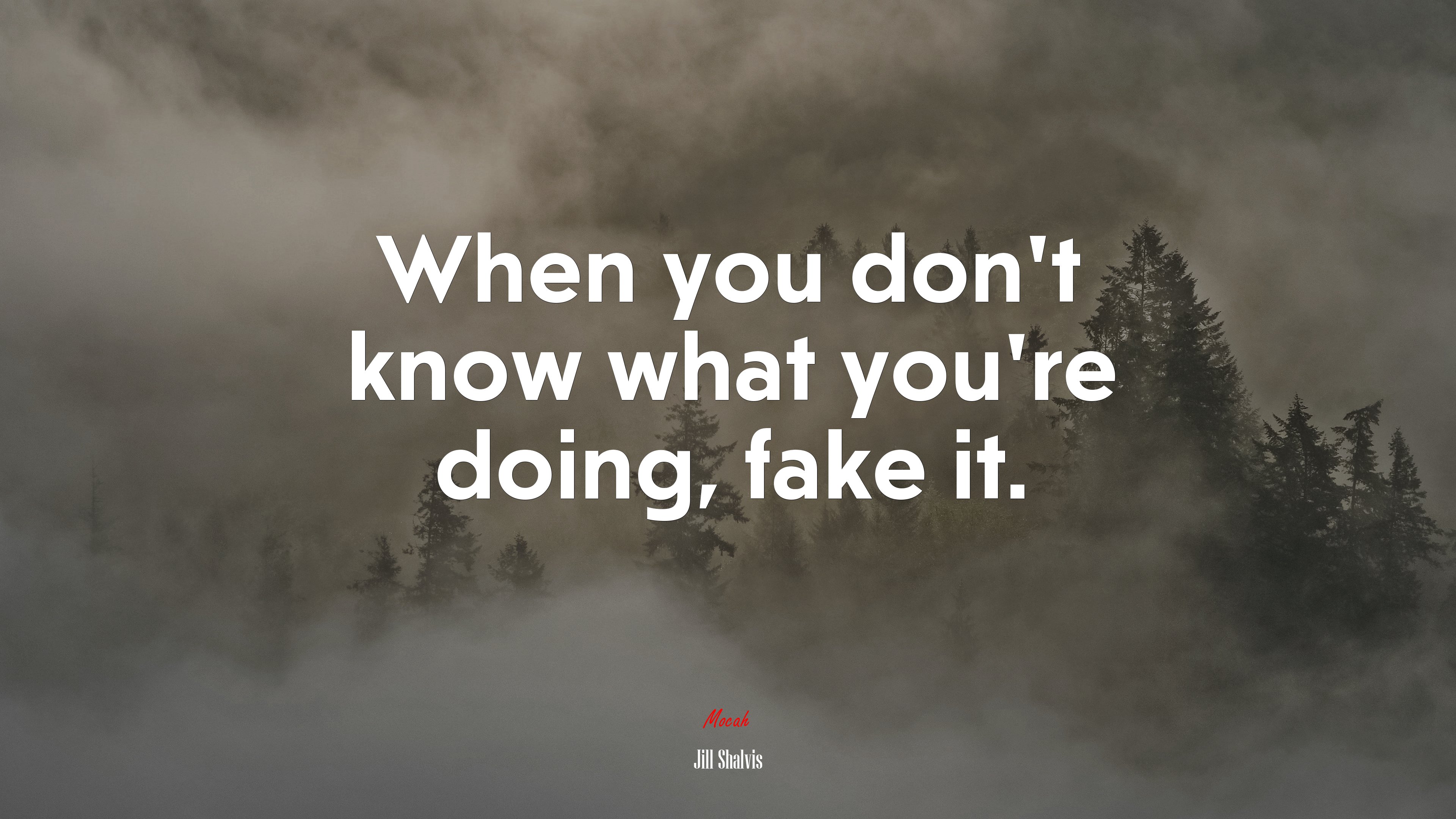 When you don’t know what you’re doing, fake it. | Jill Shalvis quote HD Wallpaper