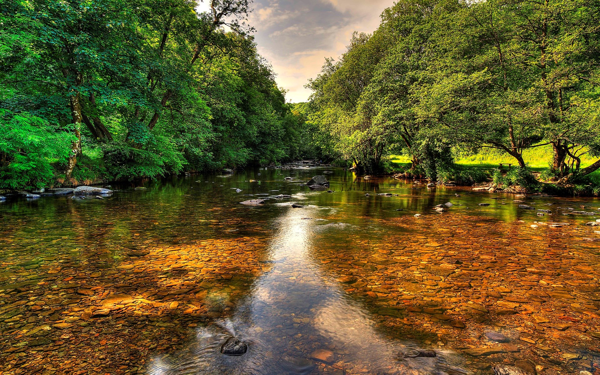 A clear river flows through a lush green forest HD Wallpaper