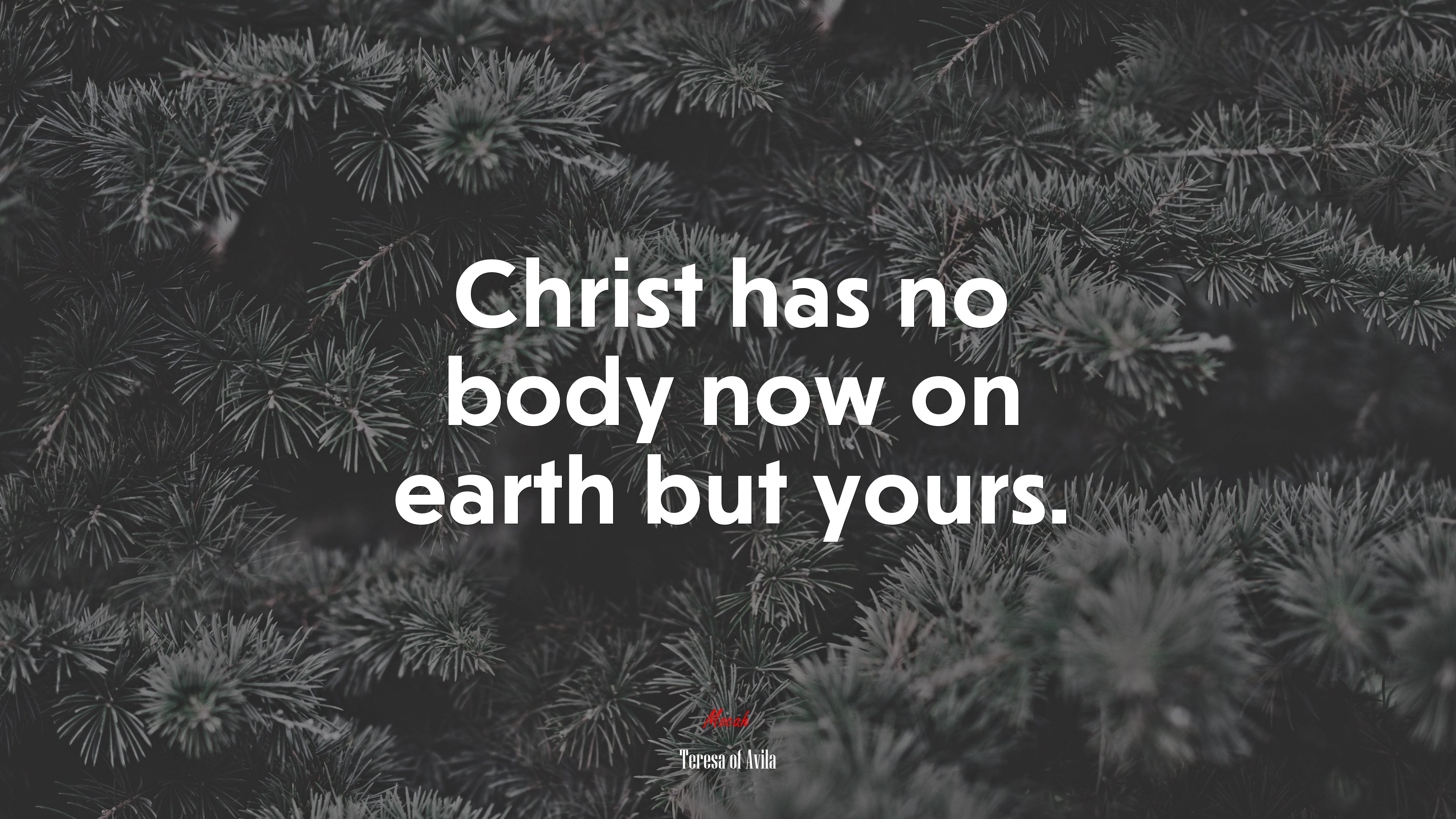 Christ has no body now on earth but yours. | Teresa of Ávila quote HD Wallpaper