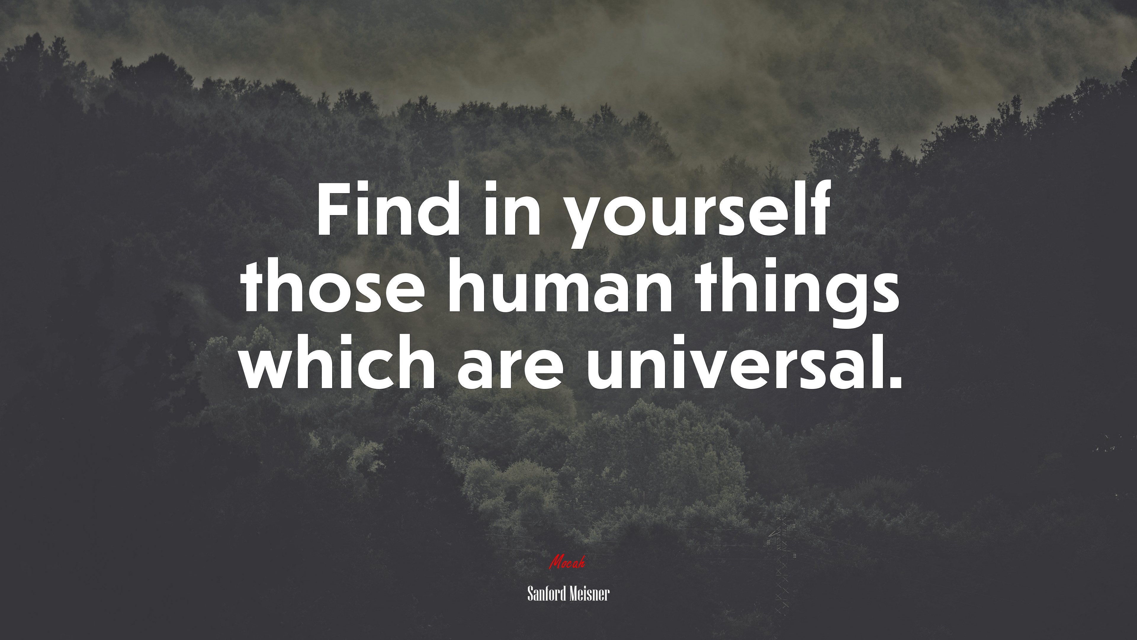 Find in yourself those human things which are universal. | Sanford Meisner quote HD Wallpaper