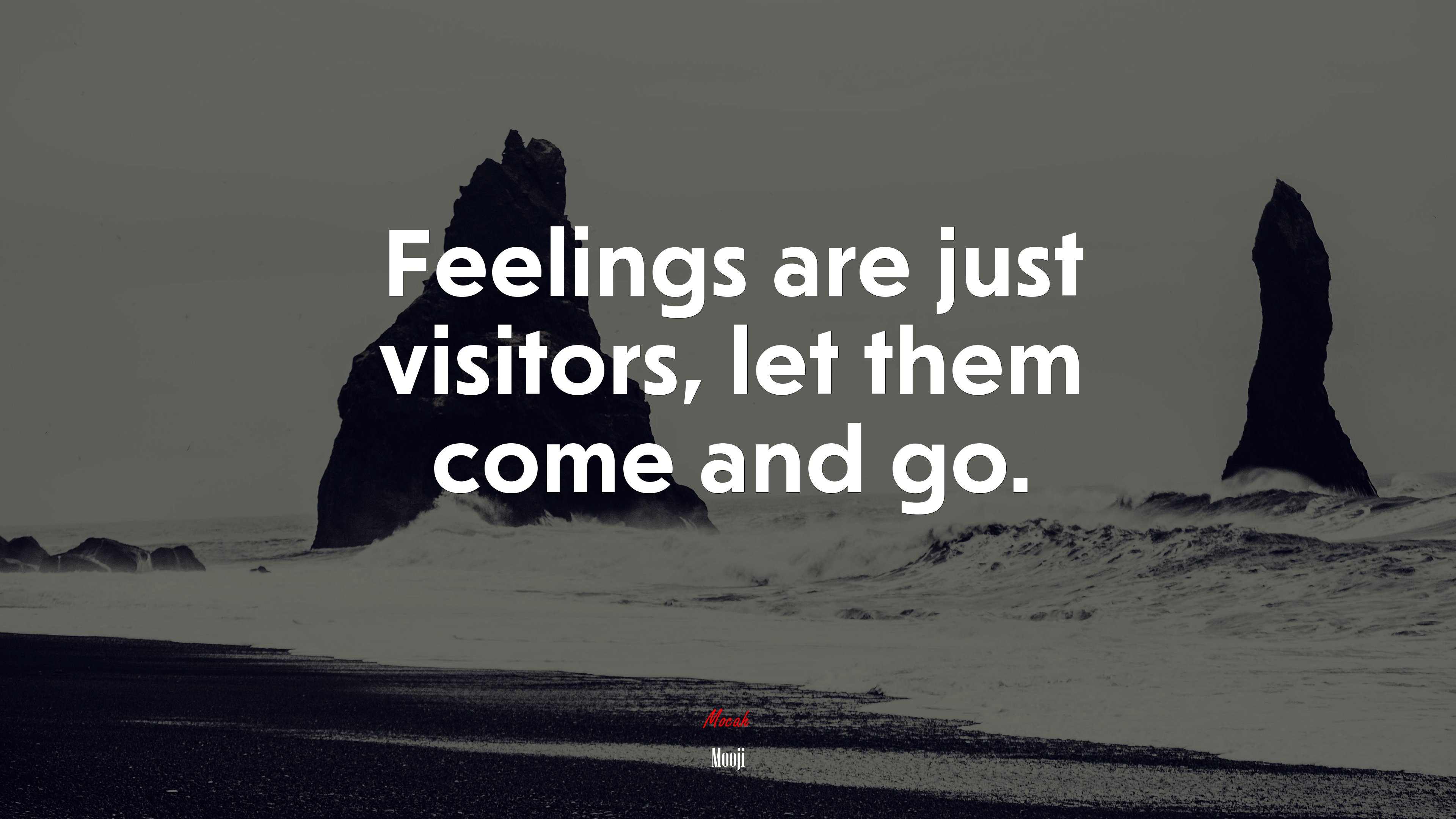 Feelings are just visitors, let them come and go. | Mooji quote HD Wallpaper