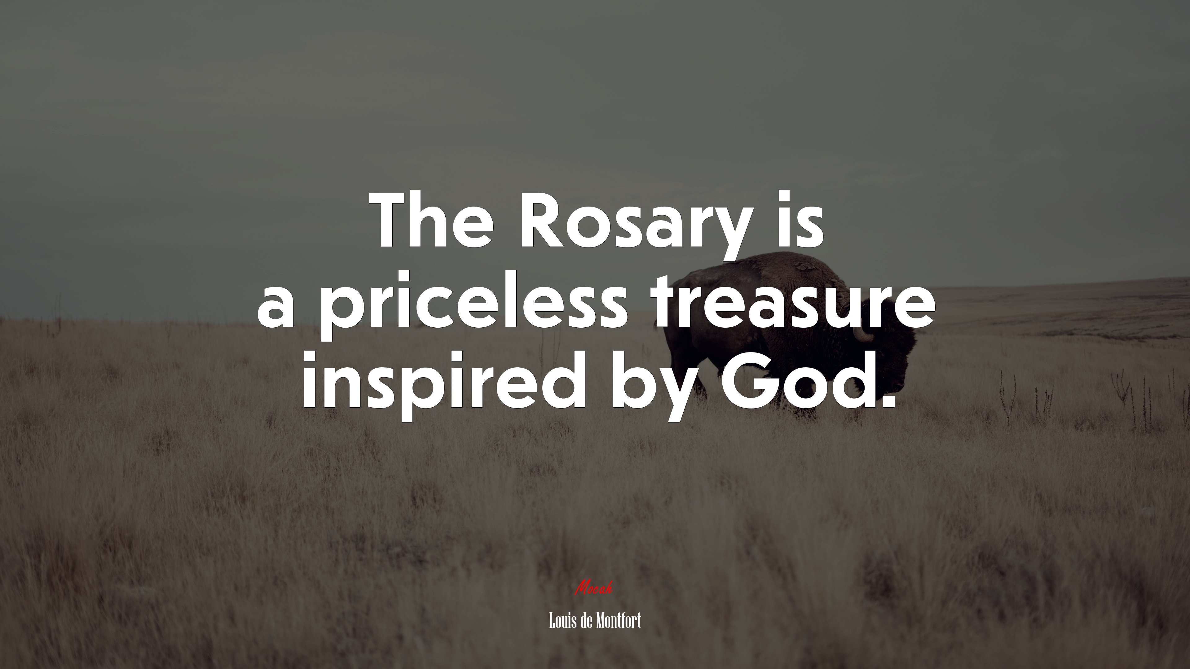 The Rosary is a priceless treasure inspired by God. | Louis de Montfort quote HD Wallpaper