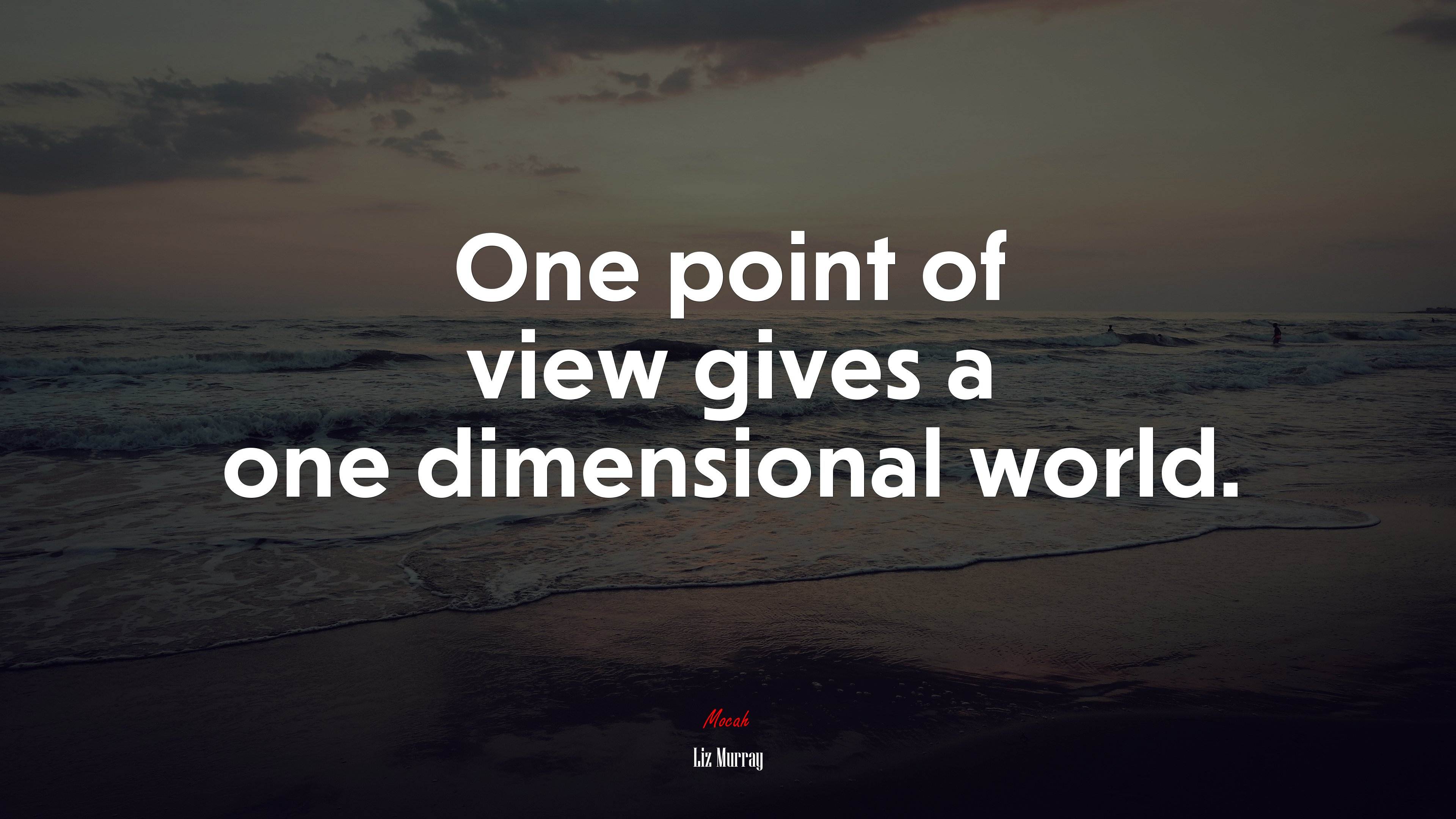 One point of view gives a one dimensional world. | Liz Murray quote HD Wallpaper