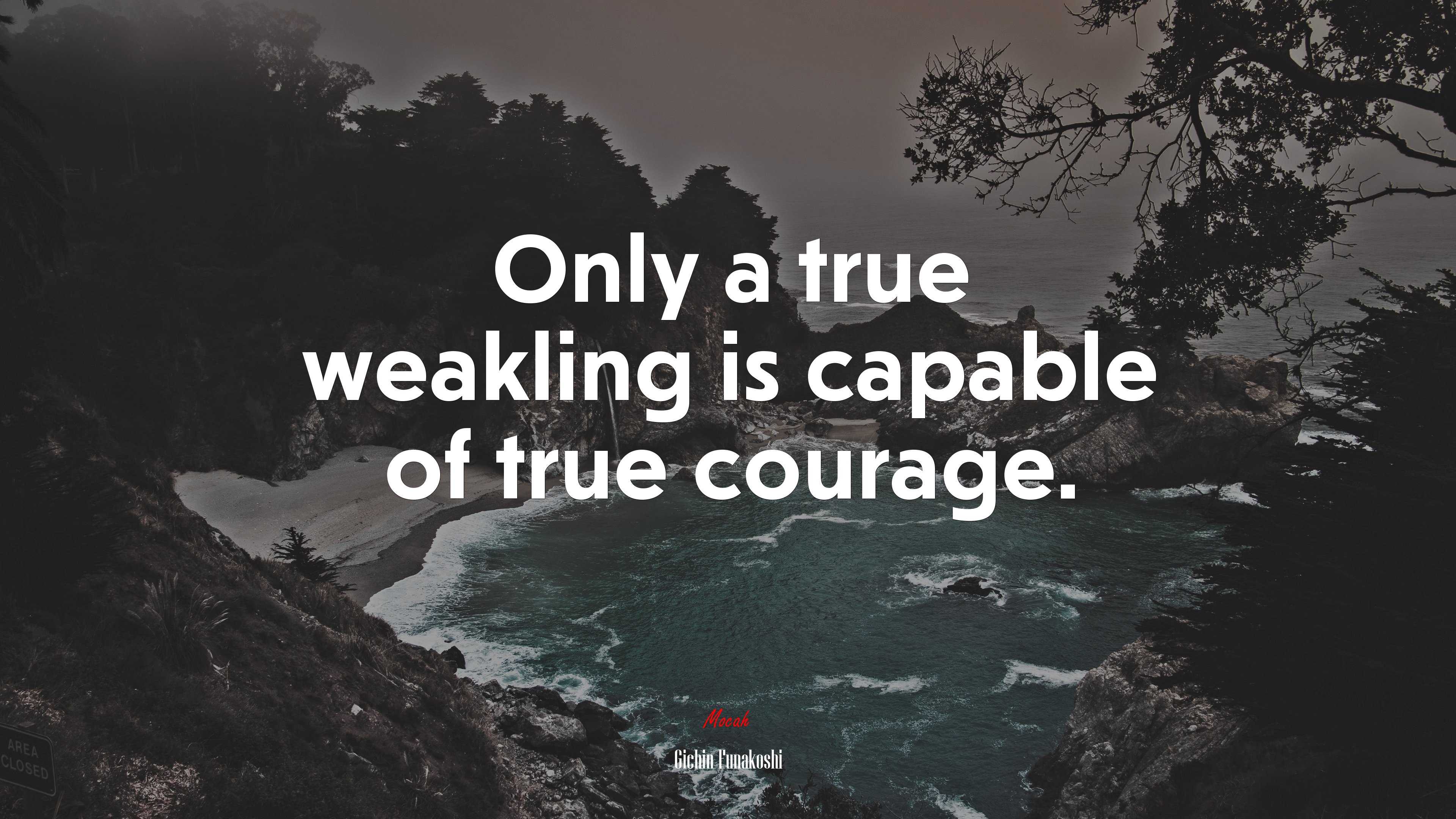 Only a true weakling is capable of true courage. | Gichin Funakoshi quote HD Wallpaper