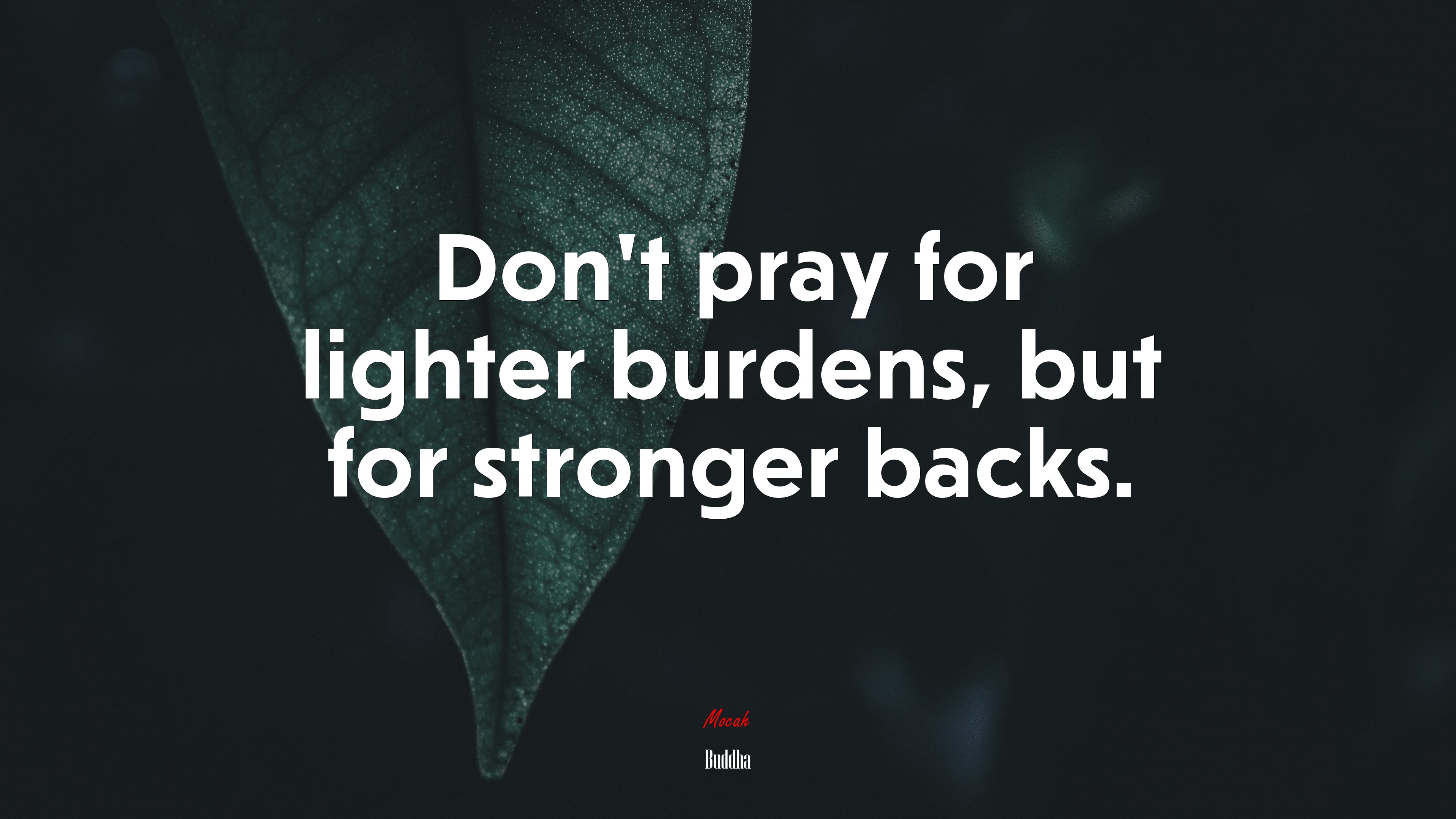Don’t pray for lighter burdens, but for stronger backs. | Buddha quote HD Wallpaper