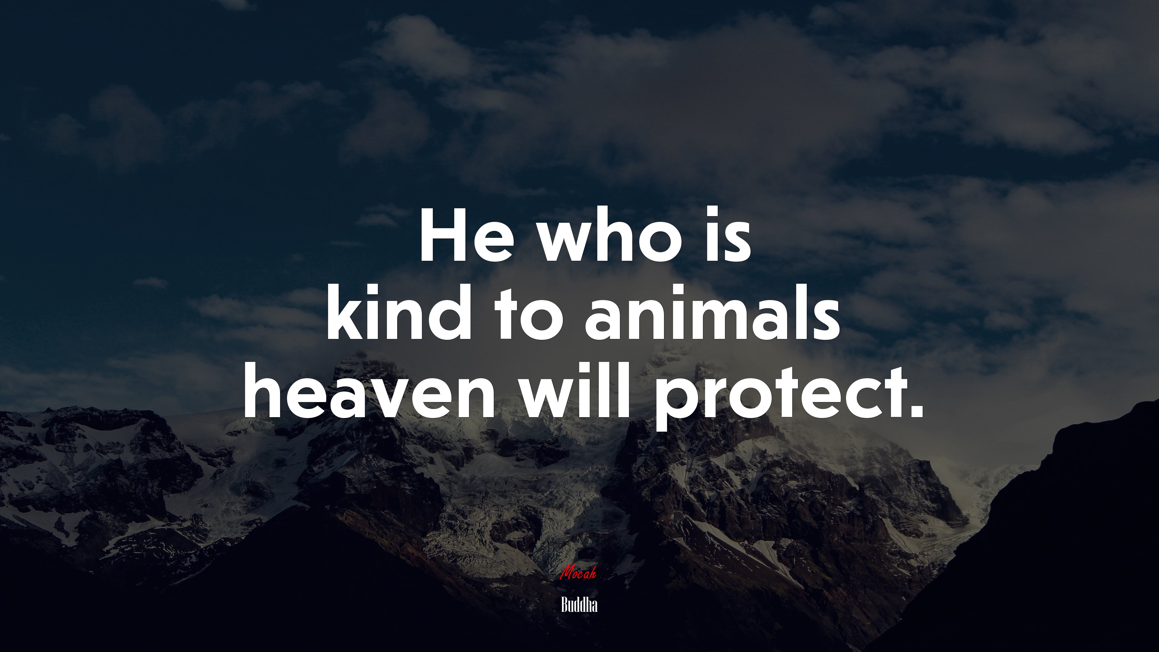 He who is kind to animals heaven will protect. | Buddha quote HD Wallpaper