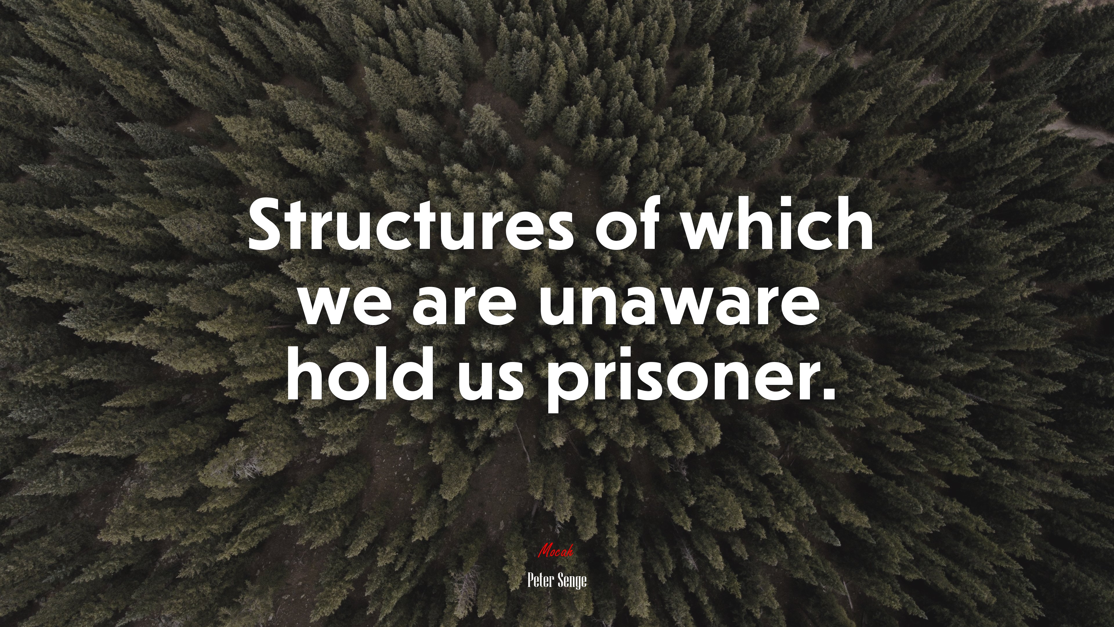 Structures of which we are unaware hold us prisoner. | Peter Senge quote HD Wallpaper