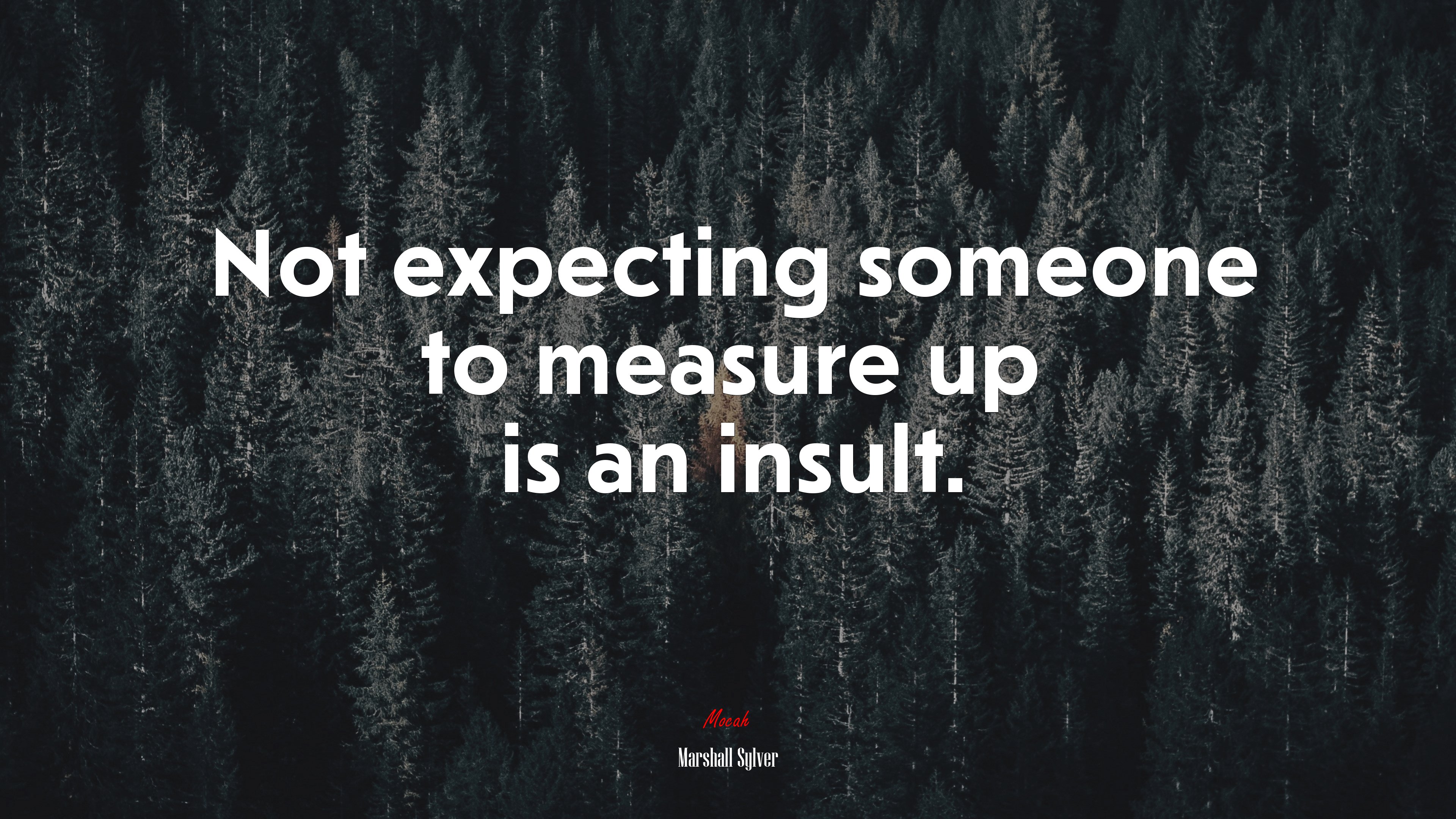 Not expecting someone to measure up is an insult. | Marshall Sylver quote HD Wallpaper