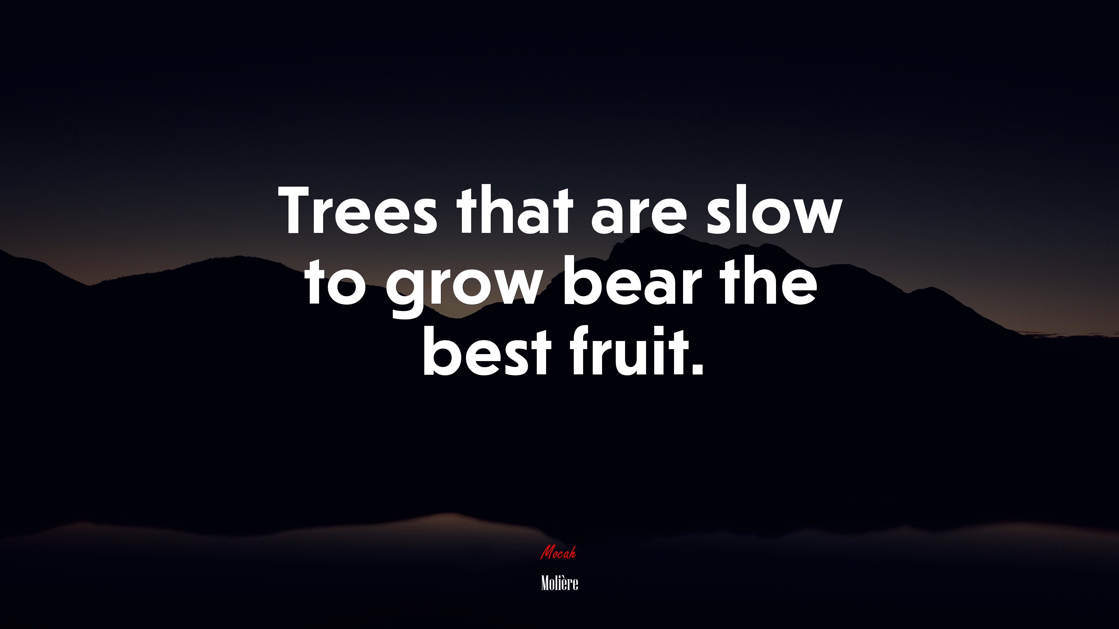Trees that are slow to grow bear the best fruit. | Molière quote HD Wallpaper