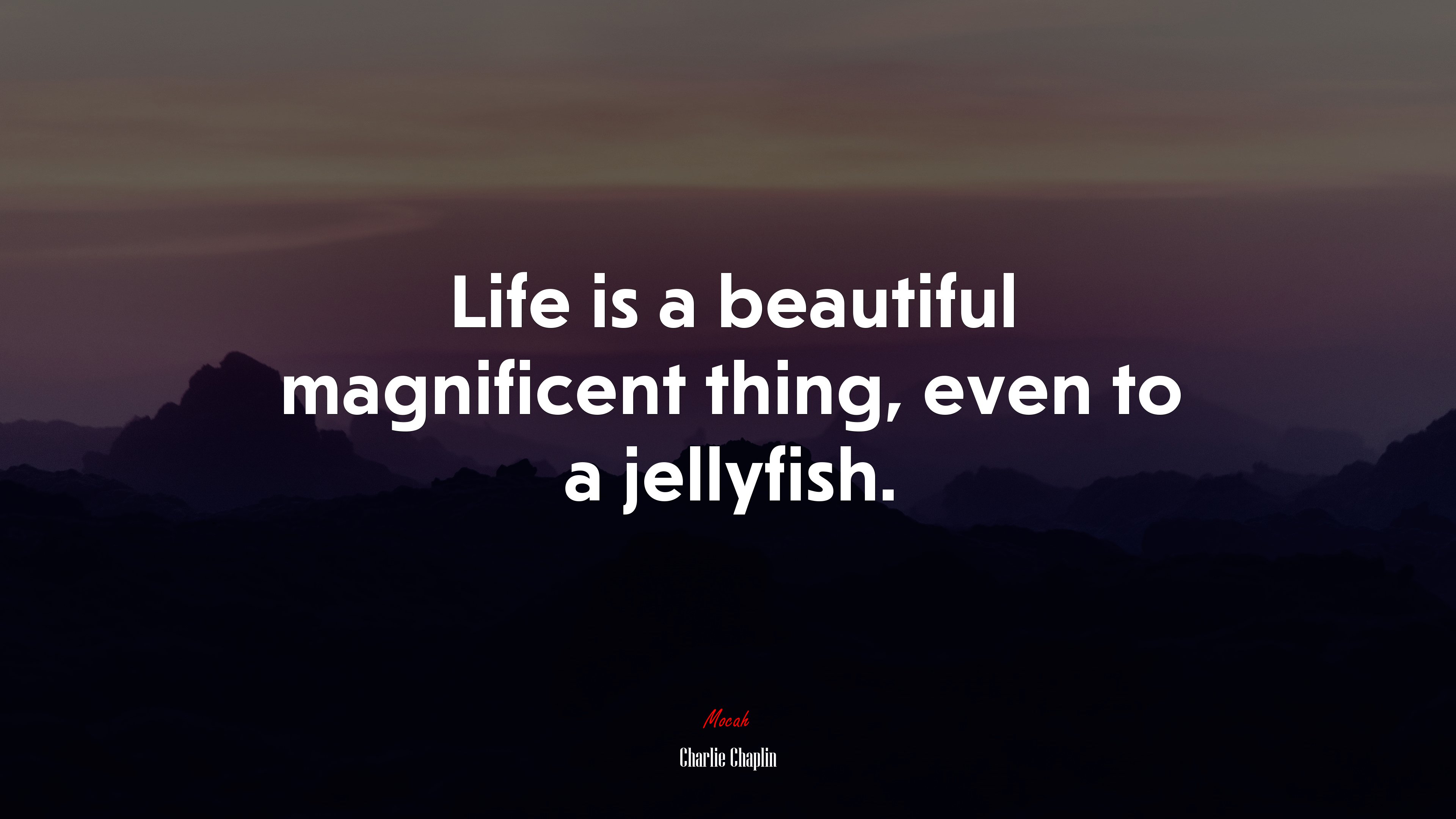 Life is a beautiful magnificent thing, even to a jellyfish. | Charlie Chaplin quote HD Wallpaper