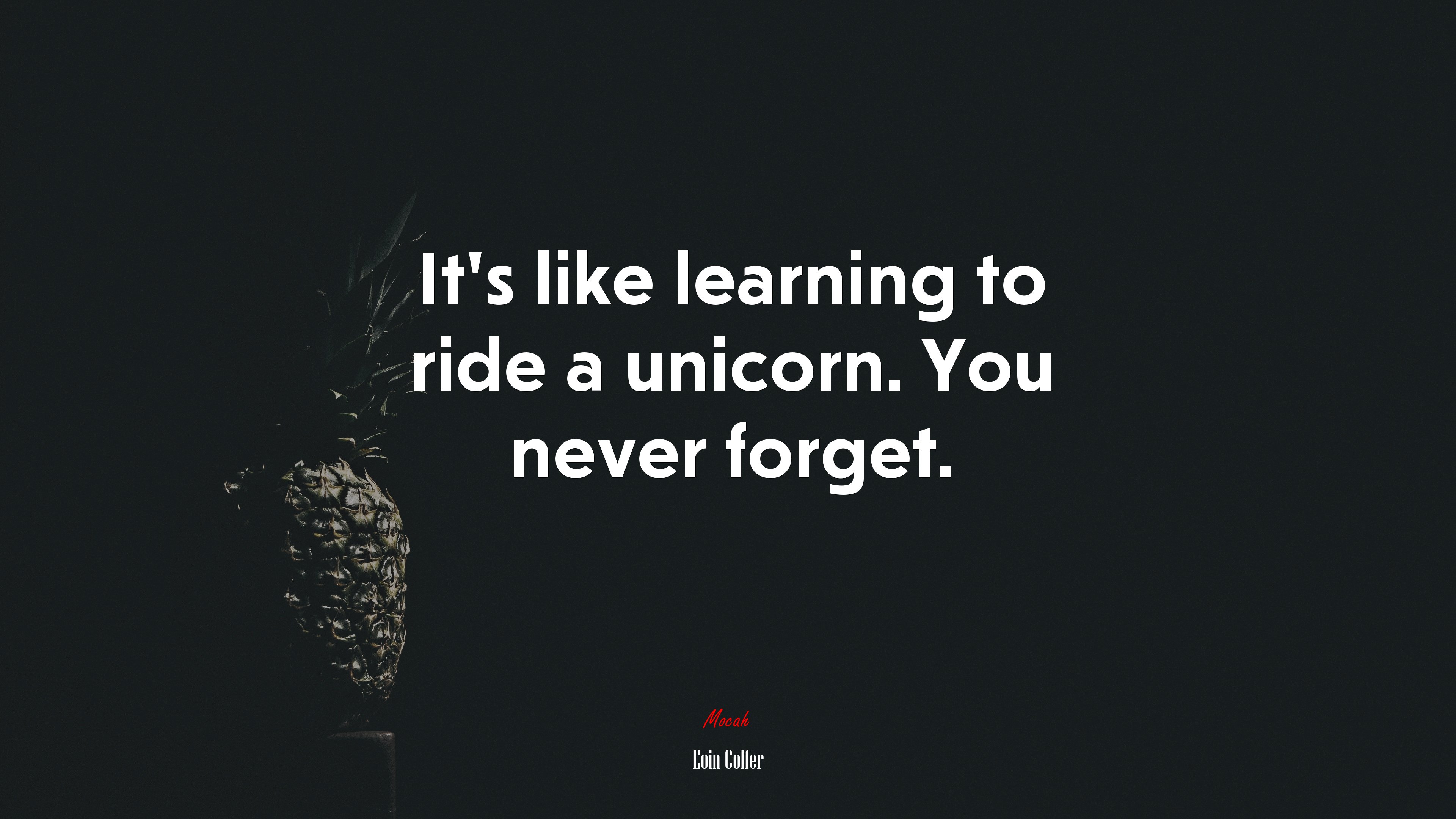 It’s like learning to ride a unicorn. You never forget. | Eoin Colfer quote HD Wallpaper