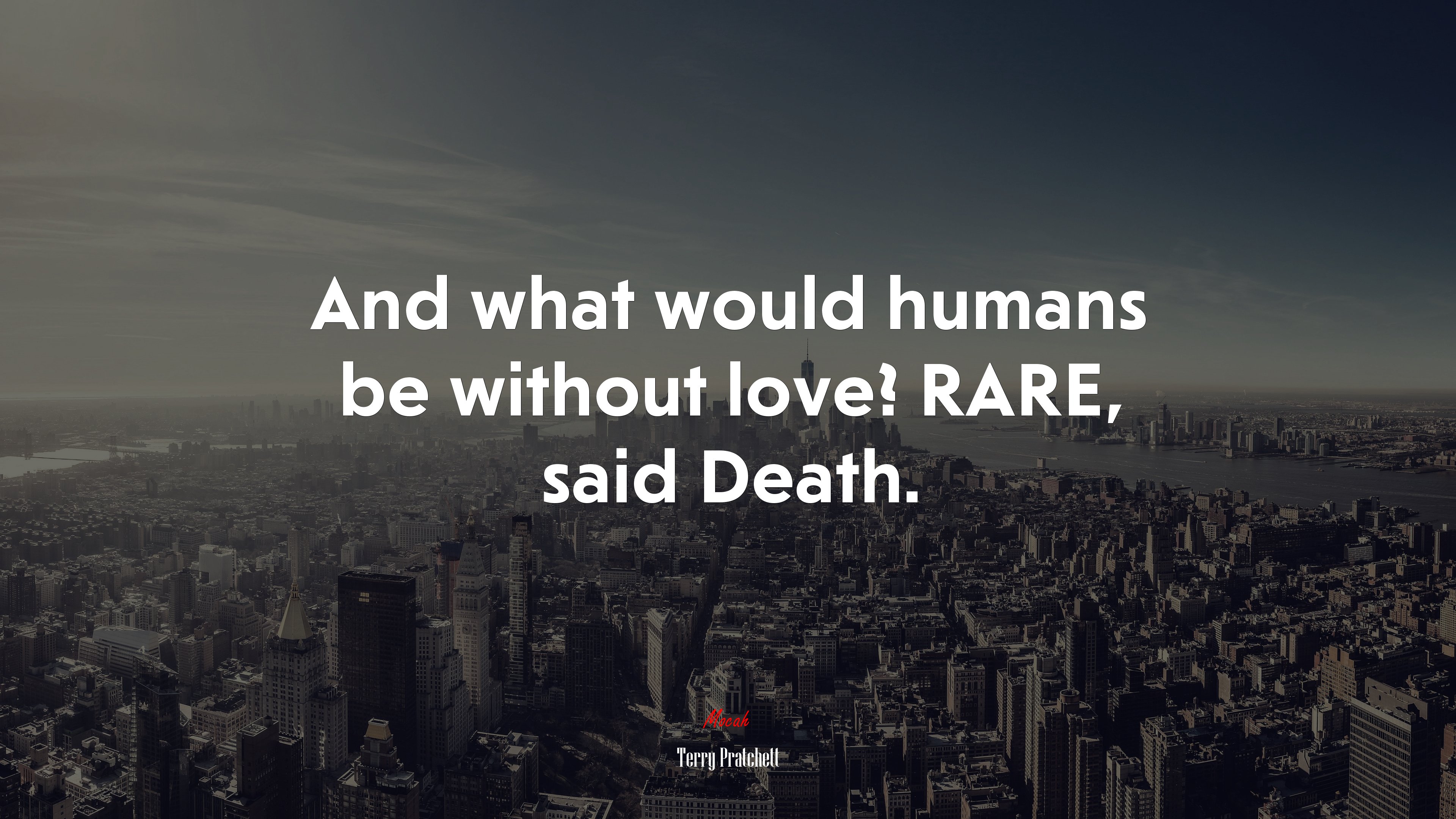 And what would humans be without love? RARE, said Death. | Terry Pratchett quote HD Wallpaper