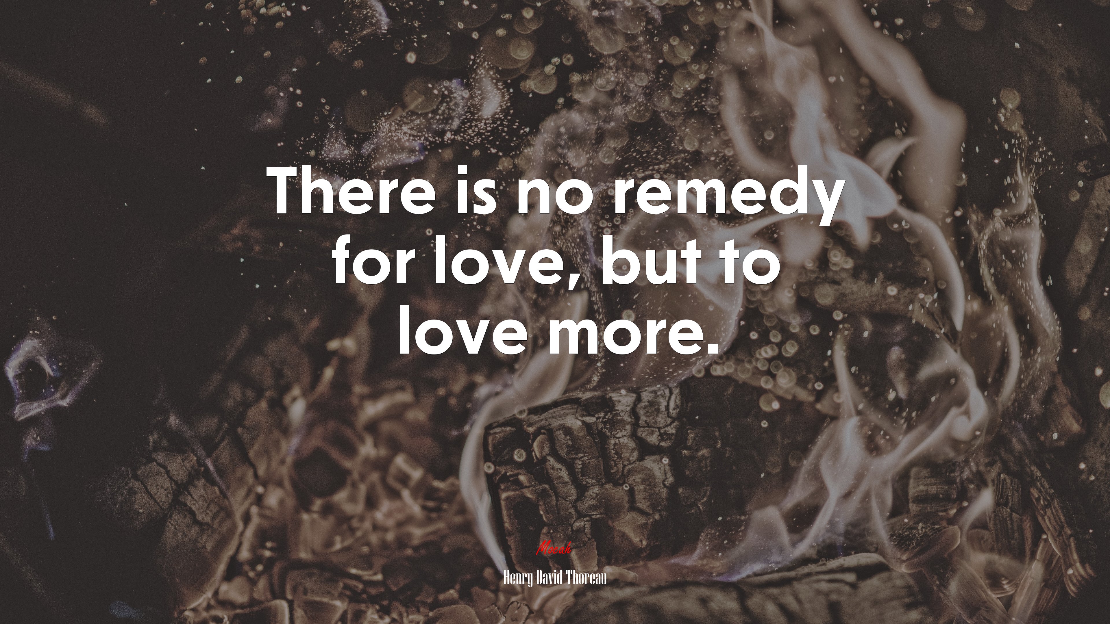 There is no remedy for love, but to love more. | Henry David Thoreau quote HD Wallpaper