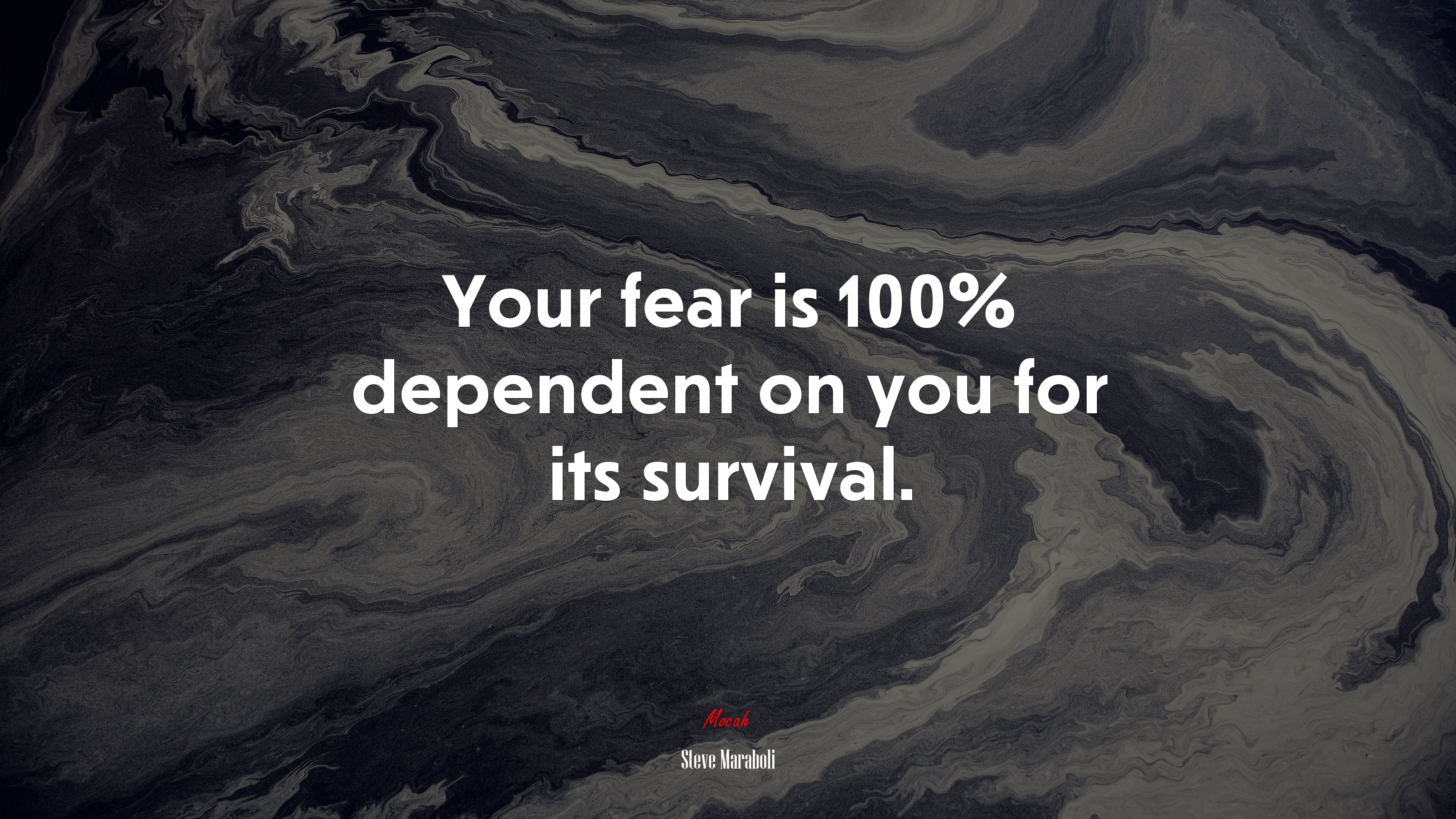 Your fear is 100% dependent on you for its survival. | Steve Maraboli quote HD Wallpaper