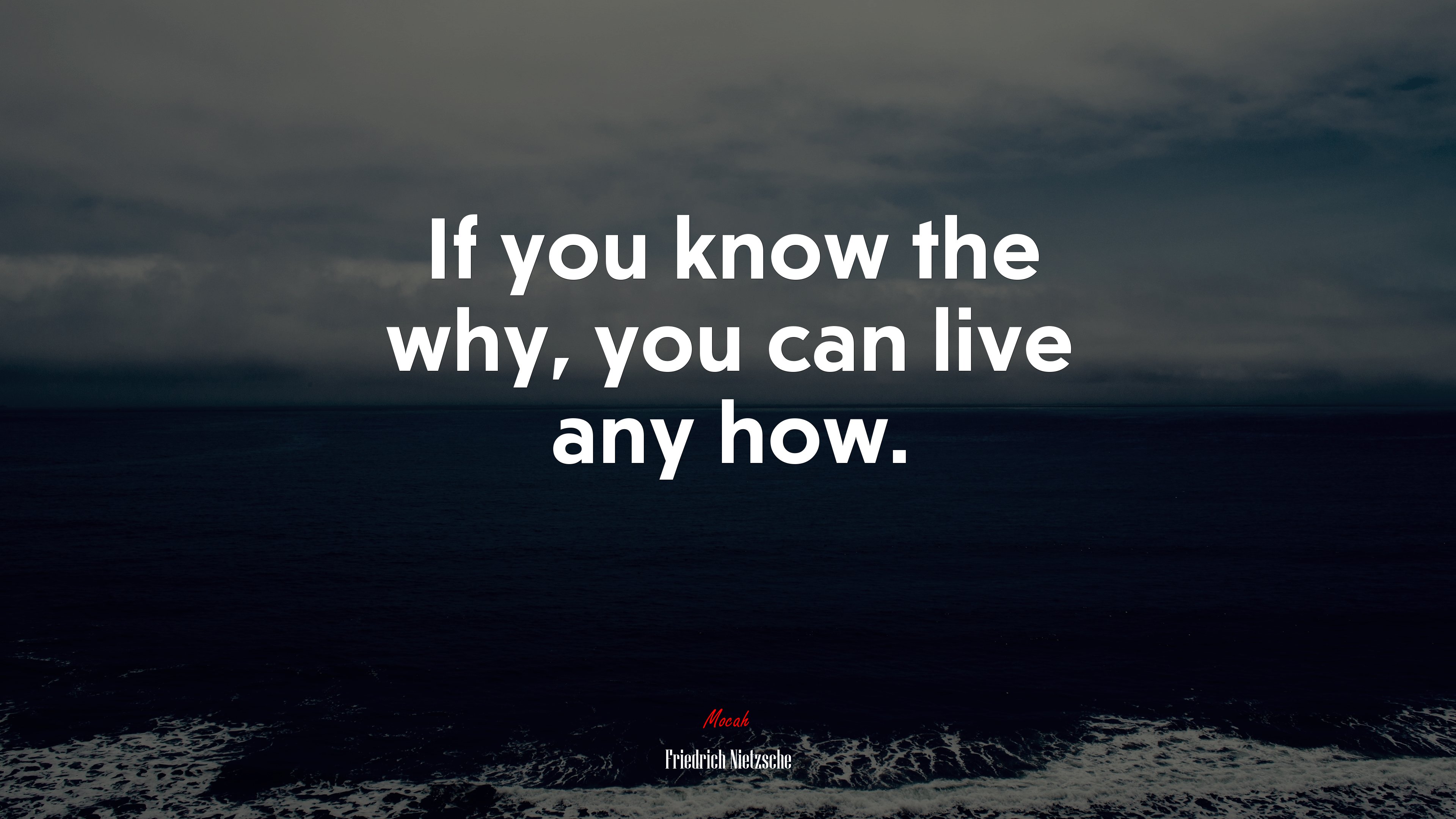 If you know the why, you can live any how. | Friedrich Nietzsche quote HD Wallpaper