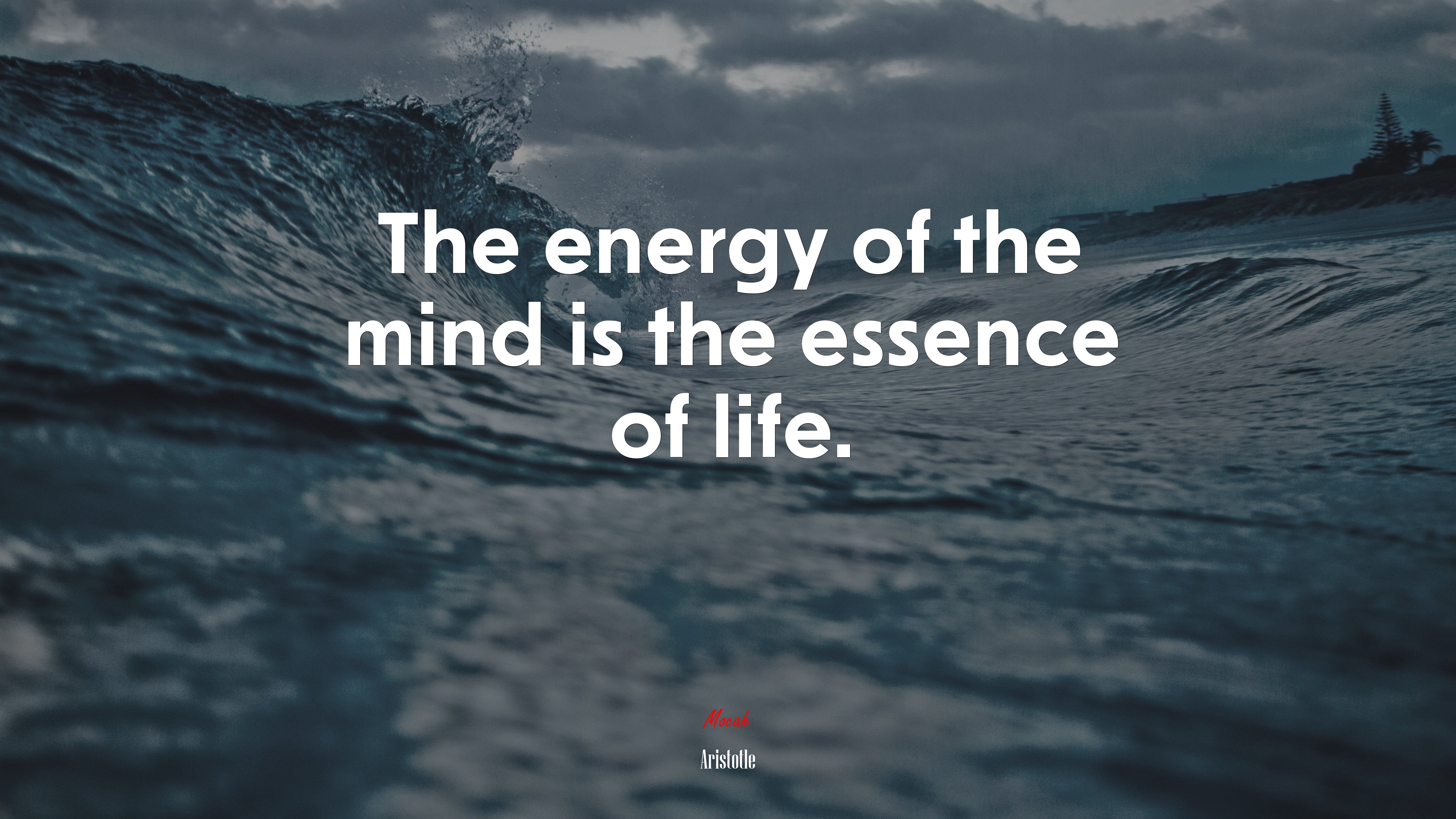 The energy of the mind is the essence of life. | Aristotle quote HD Wallpaper
