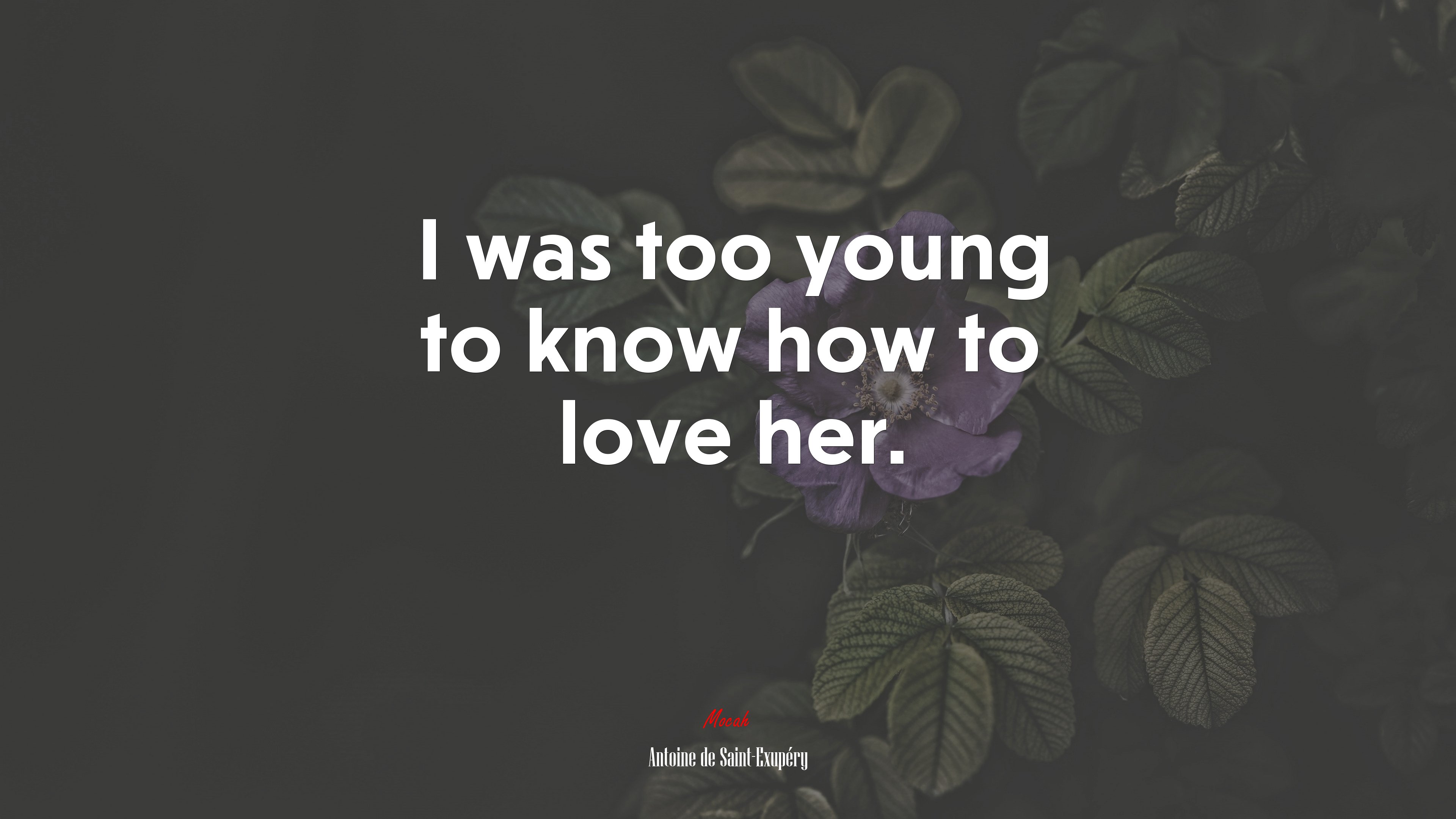 I was too young to know how to love her. | Antoine de Saint-Exupéry quote HD Wallpaper