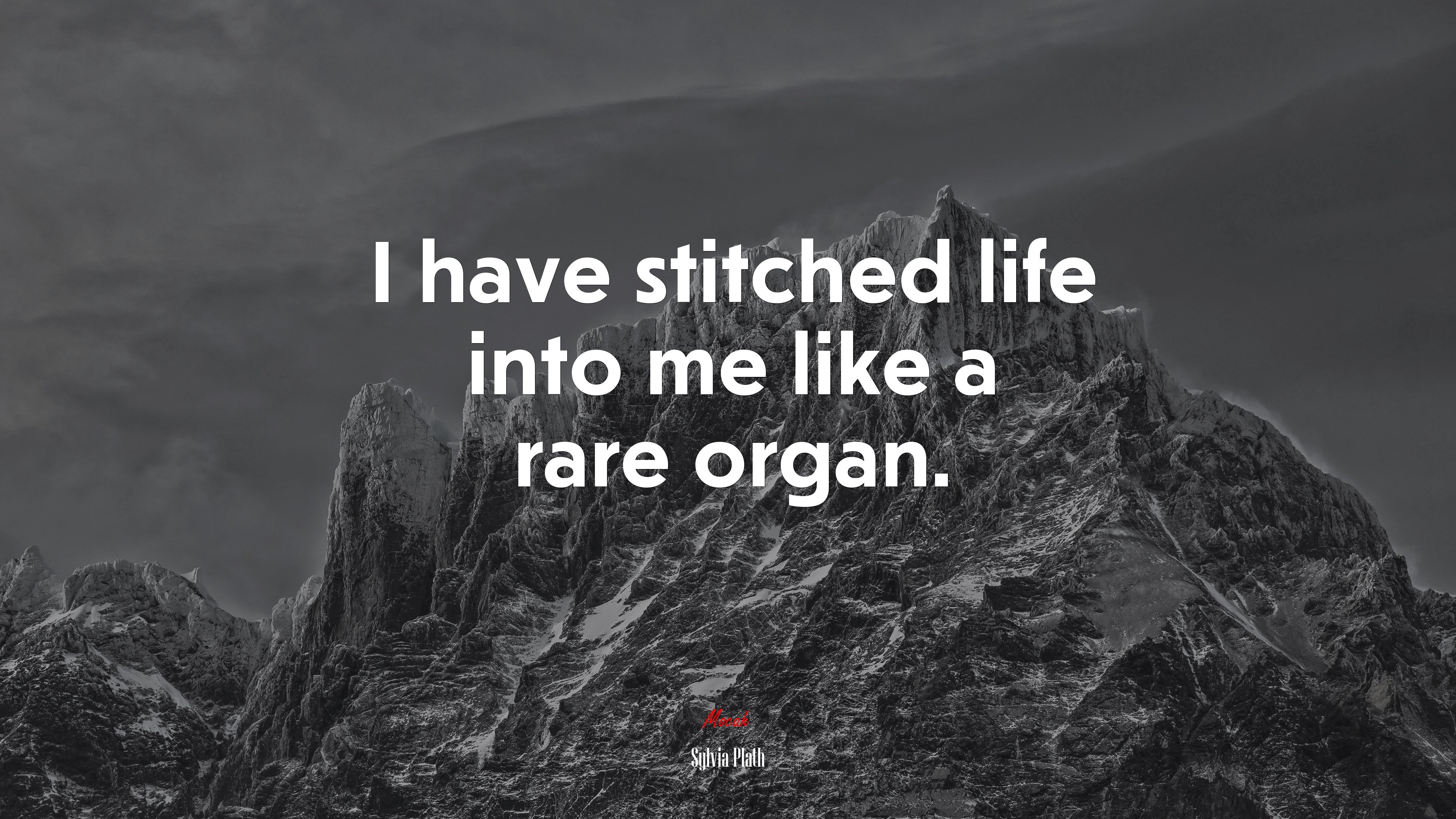 I have stitched life into me like a rare organ. | Sylvia Plath quote HD Wallpaper