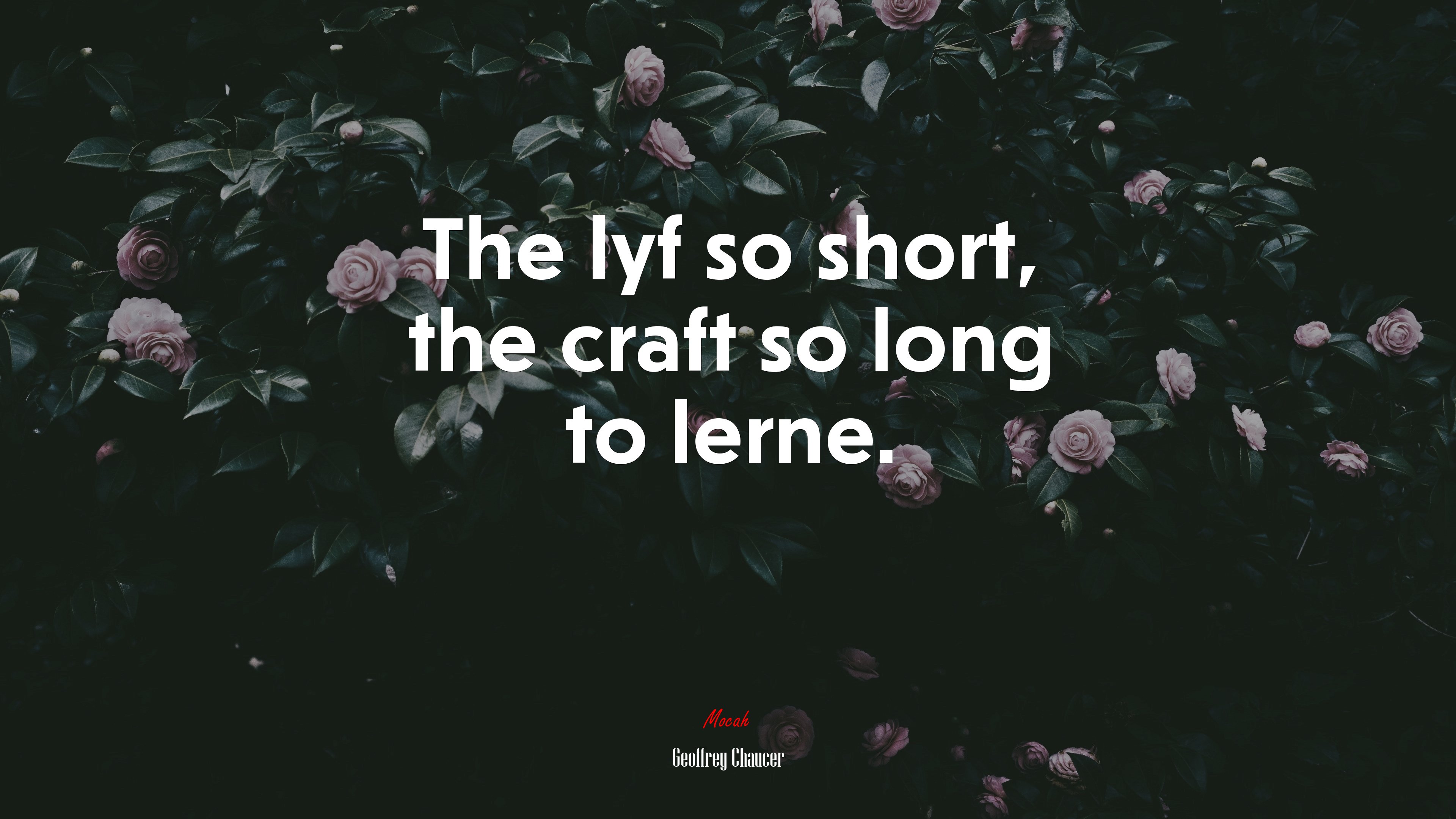 The lyf so short, the craft so long to lerne. | Geoffrey Chaucer quote HD Wallpaper
