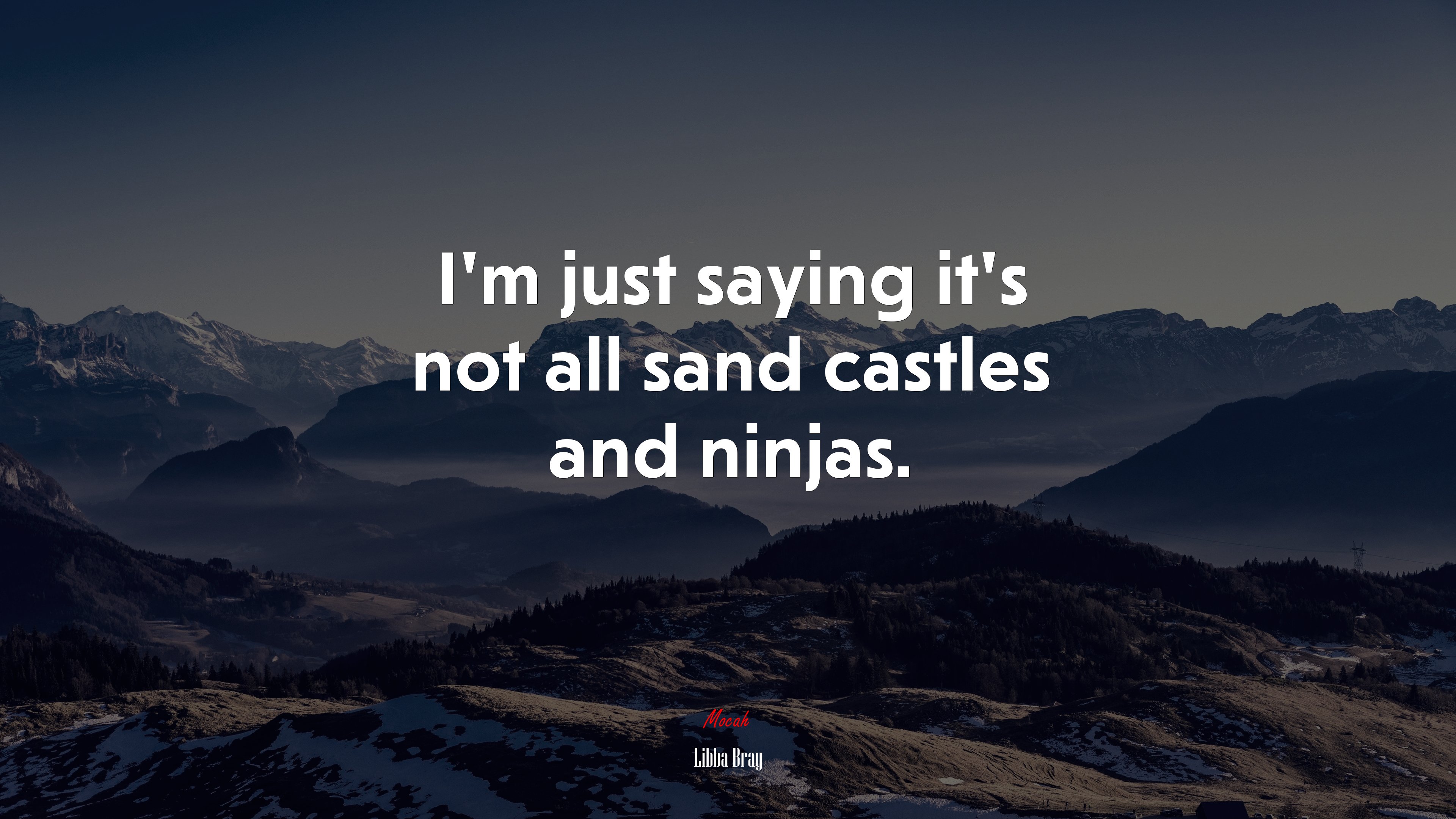 I’m just saying it’s not all sand castles and ninjas. | Libba Bray quote HD Wallpaper