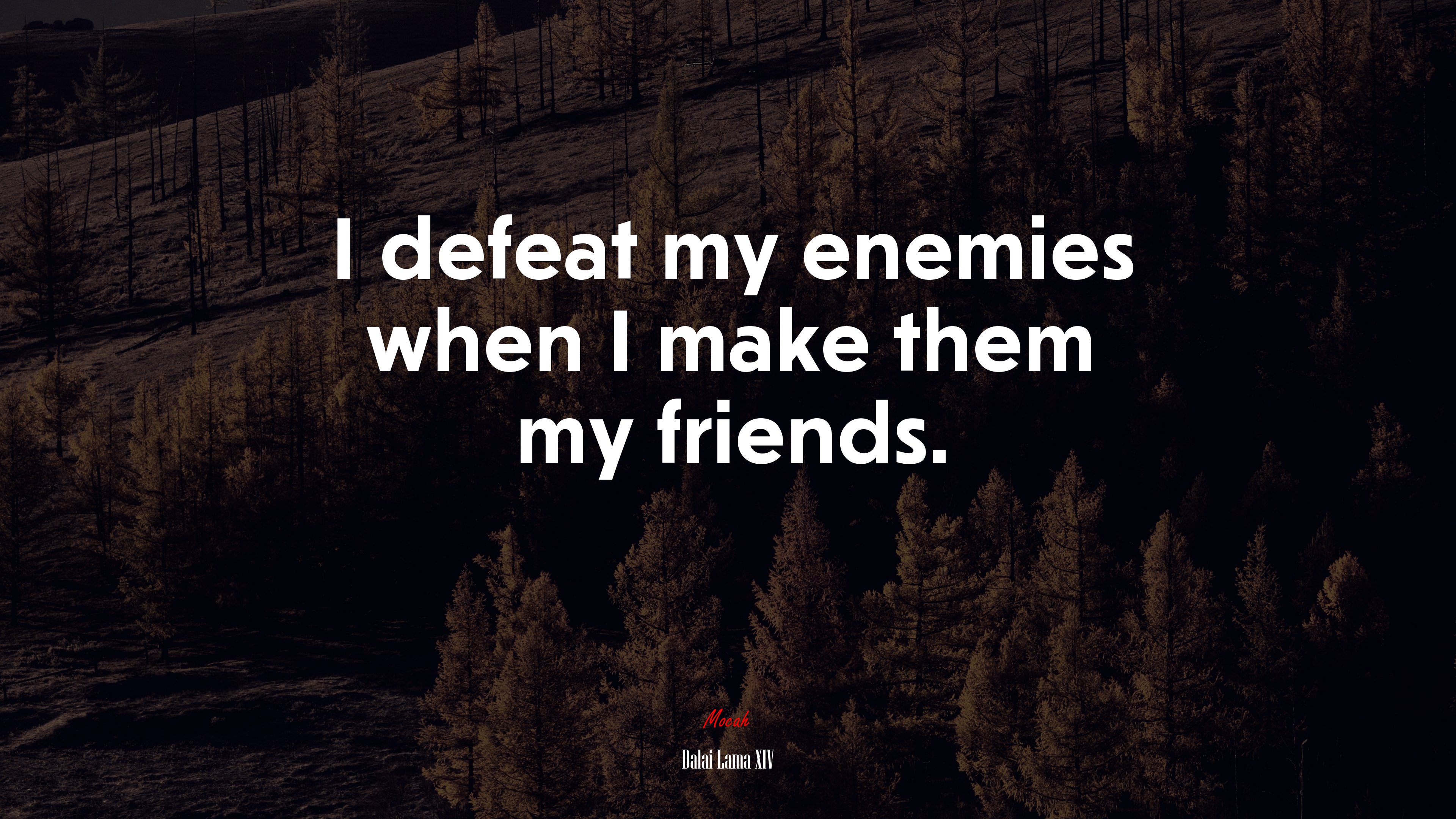 I defeat my enemies when I make them my friends. | Dalai Lama XIV quote HD Wallpaper
