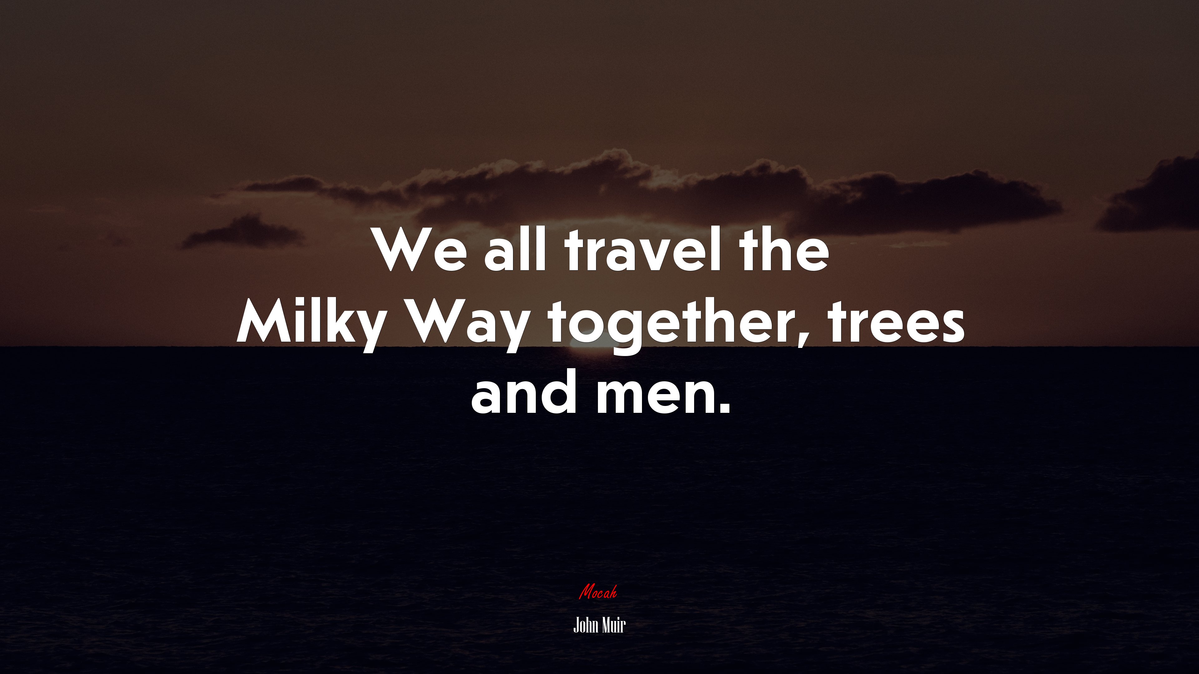 We all travel the Milky Way together, trees and men. | John Muir quote HD Wallpaper