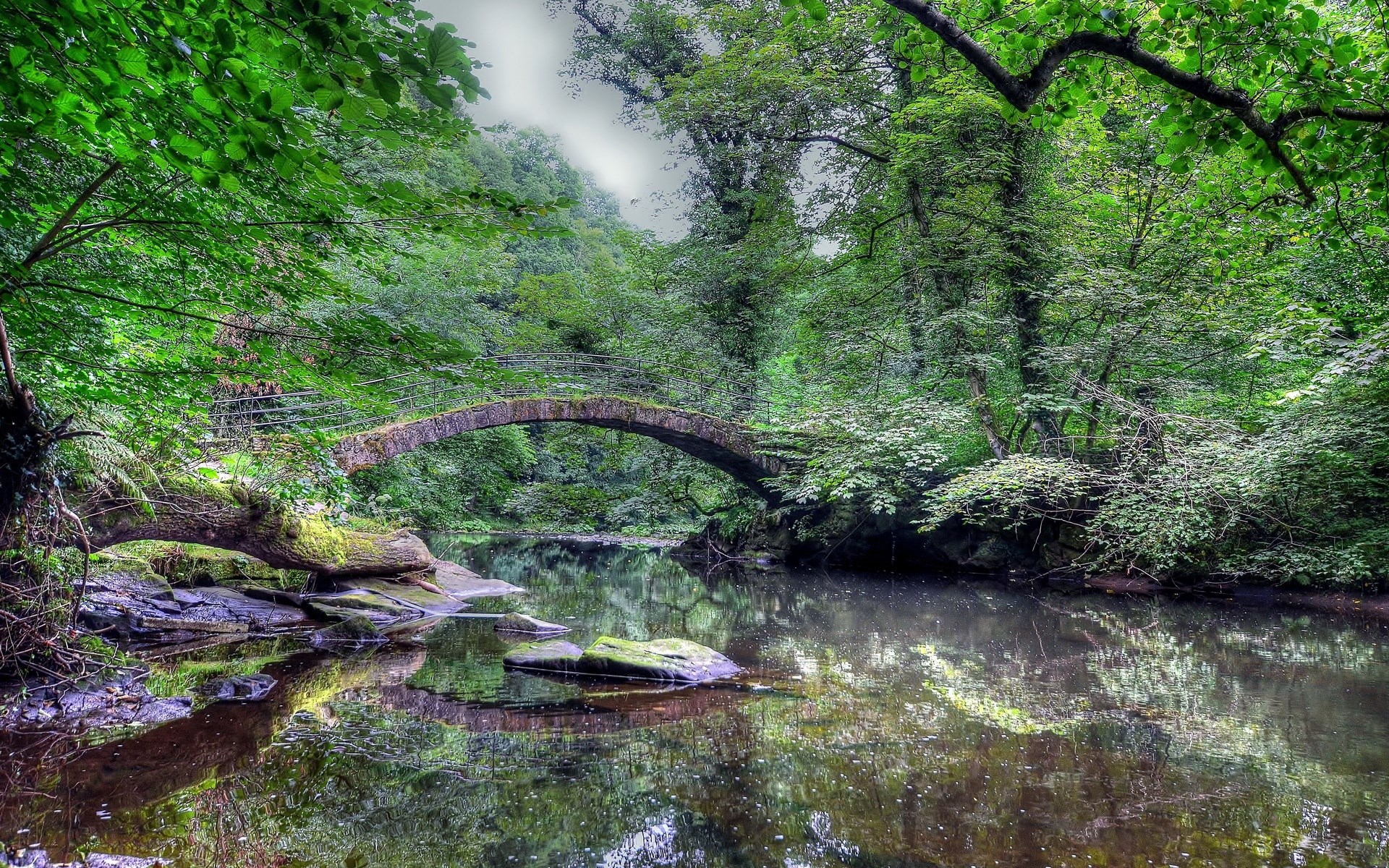 Stone bridge over a river in a forest HD Wallpaper