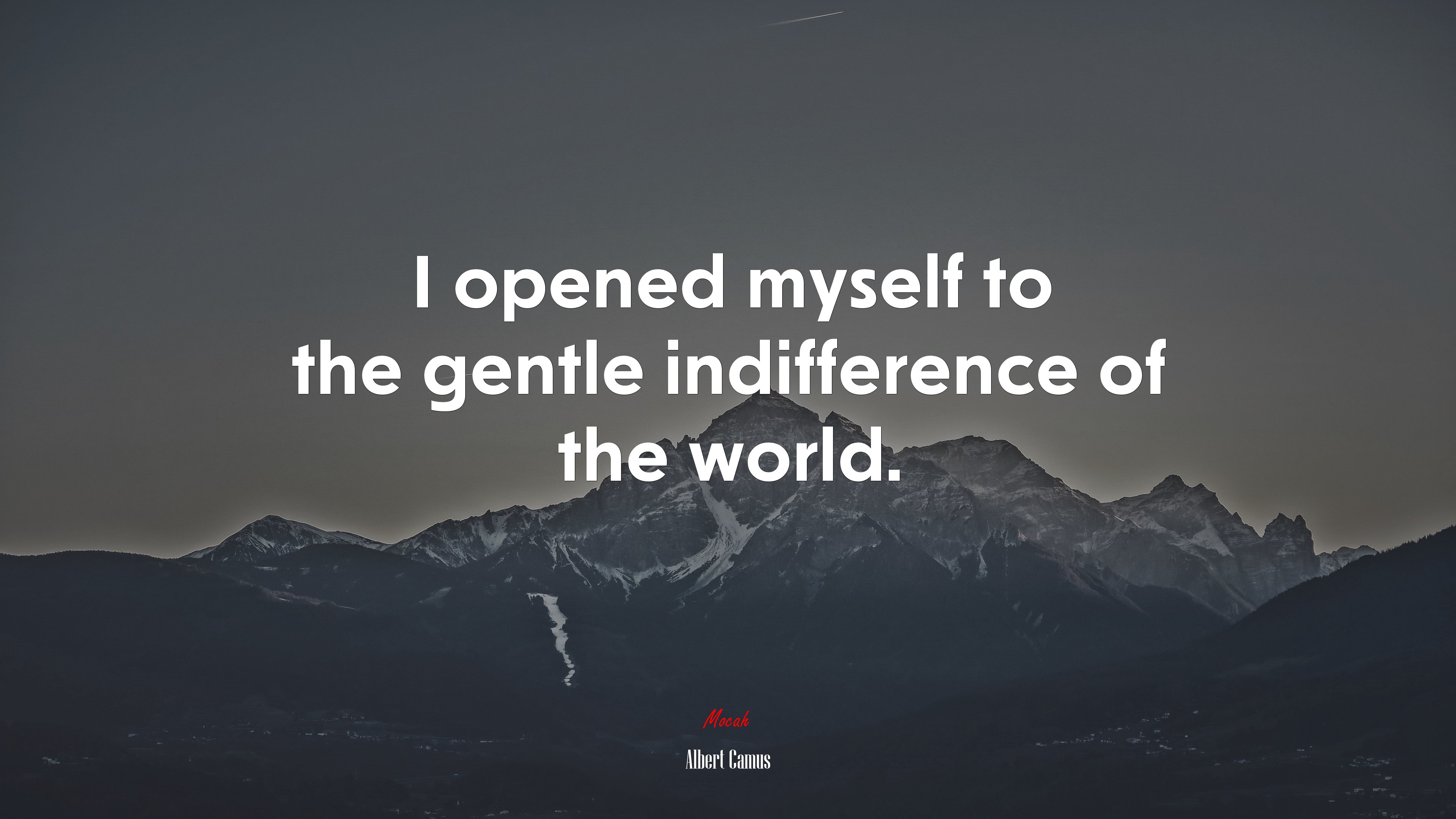 I opened myself to the gentle indifference of the world. | Albert Camus quote HD Wallpaper