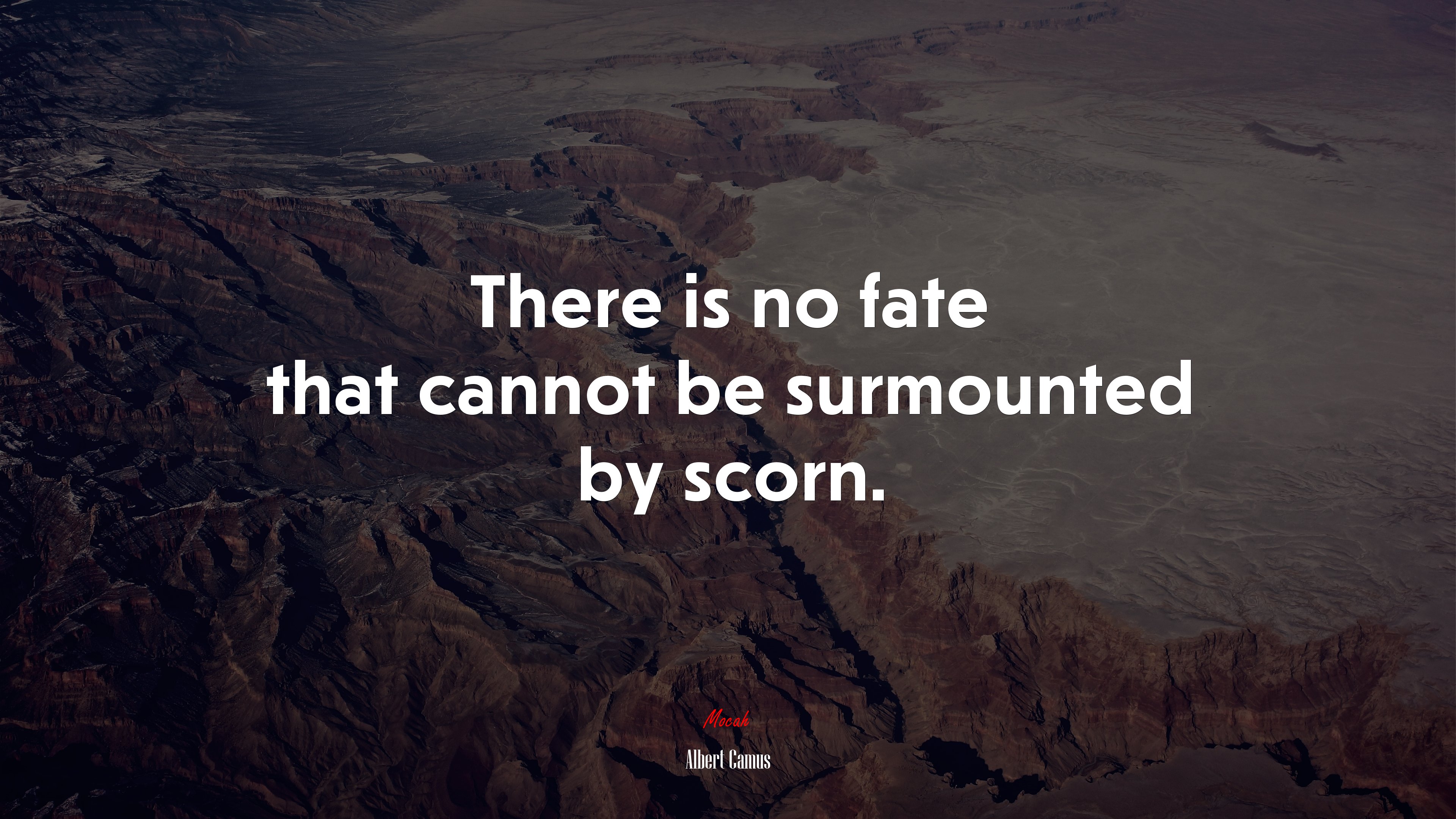 There is no fate that cannot be surmounted by scorn. | Albert Camus quote HD Wallpaper