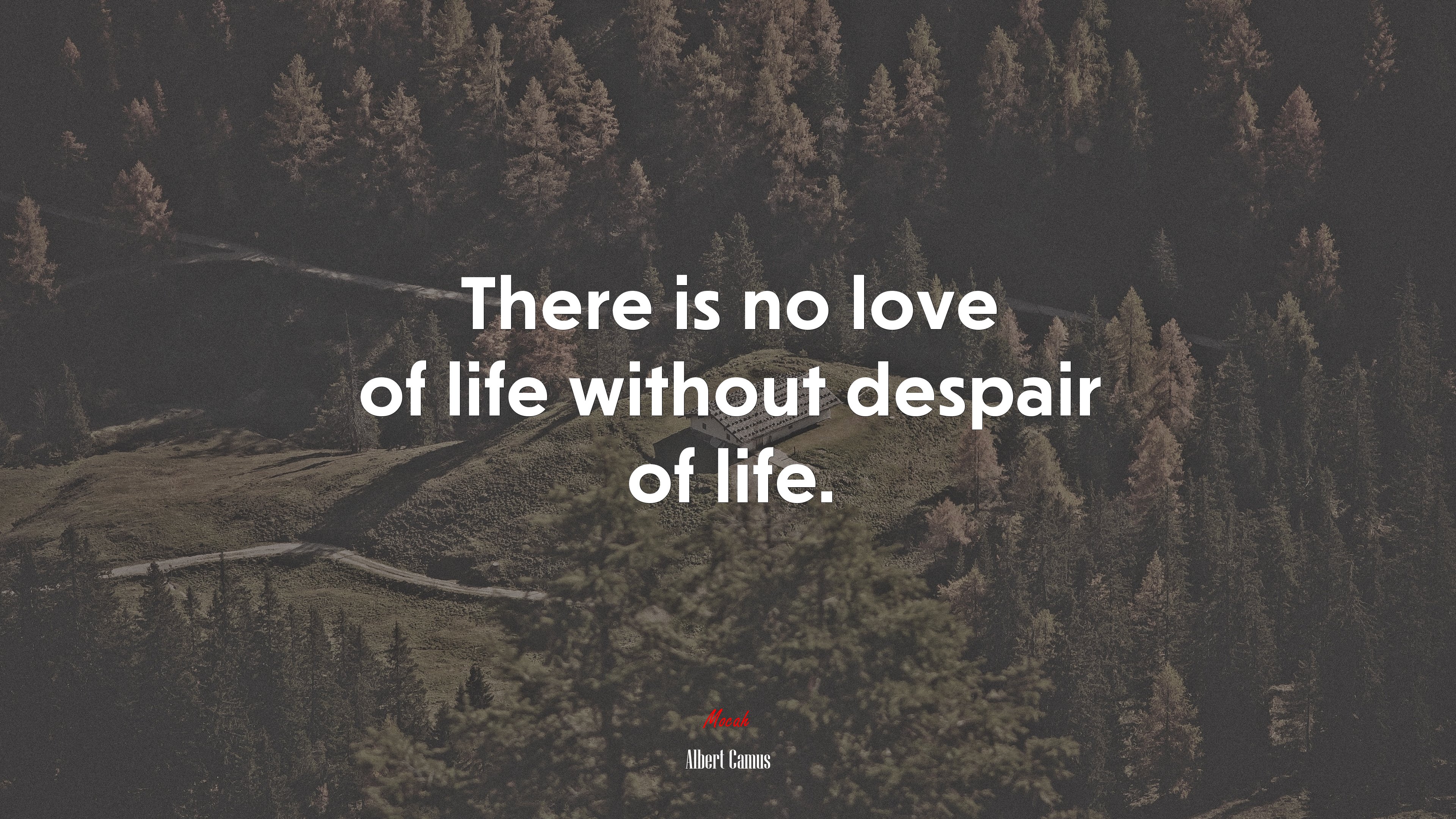There is no love of life without despair of life. | Albert Camus quote HD Wallpaper