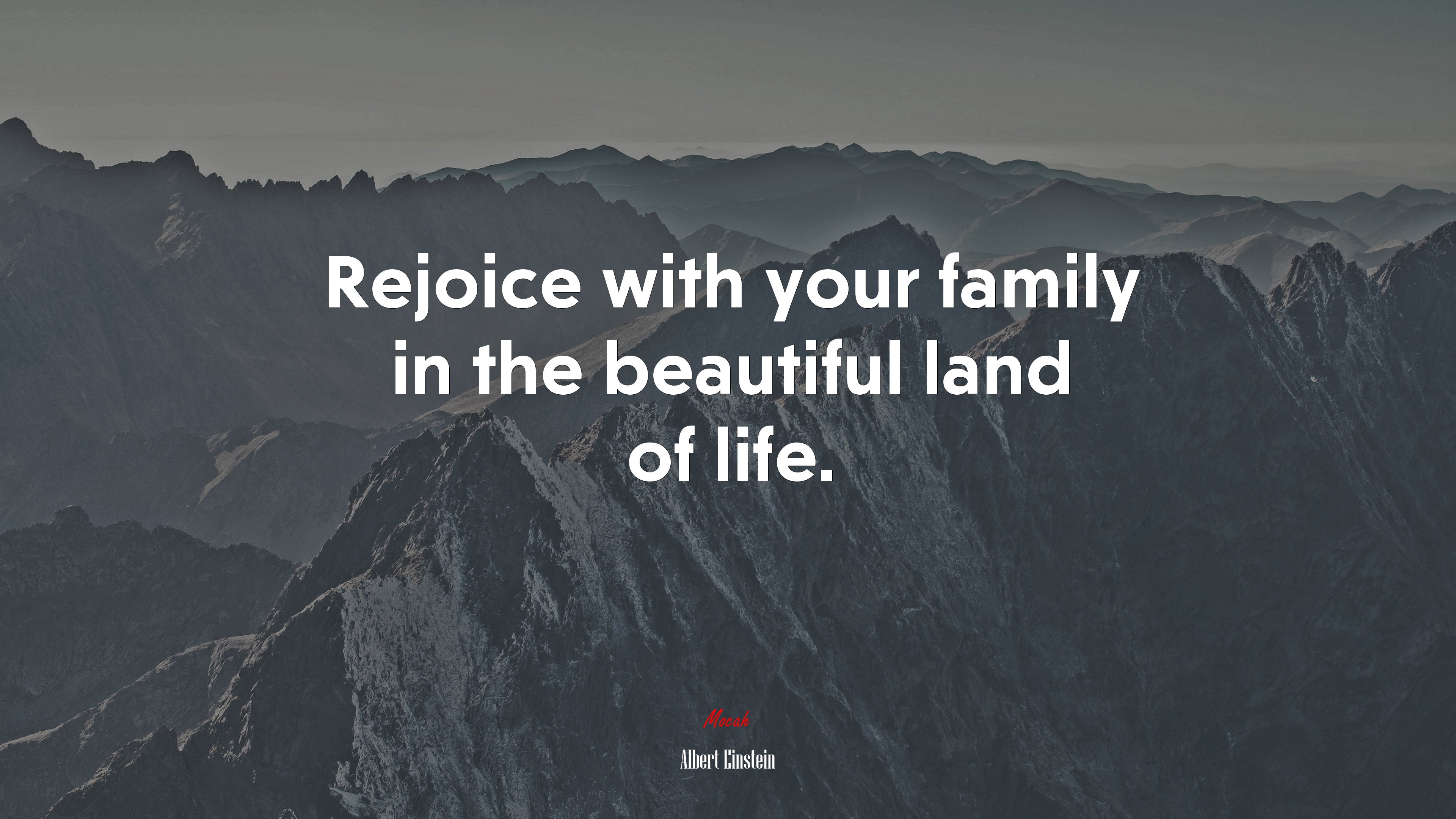 Rejoice with your family in the beautiful land of life. | Albert Einstein quote HD Wallpaper
