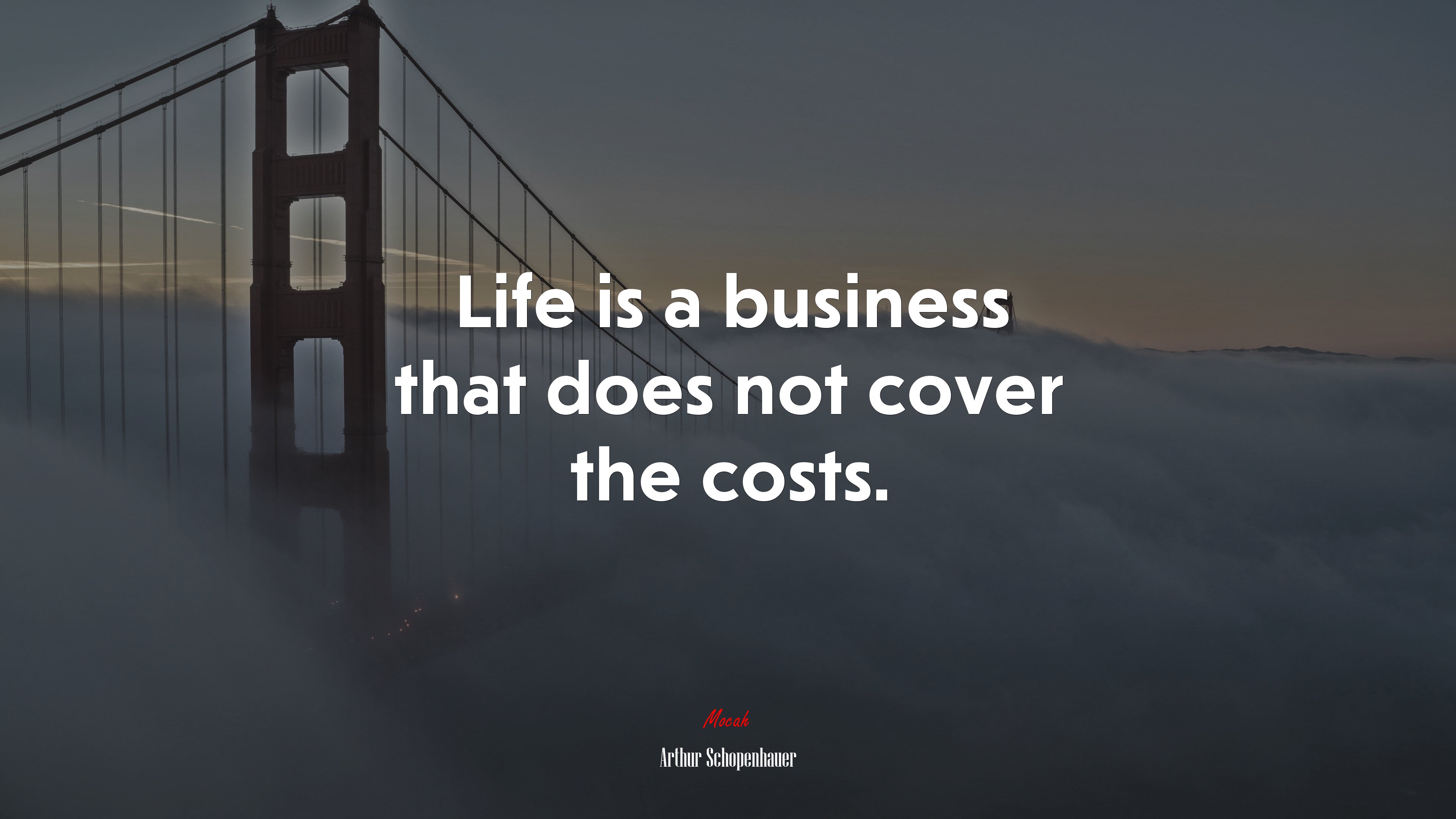 Life is a business that does not cover the costs. | Arthur Schopenhauer quote HD Wallpaper