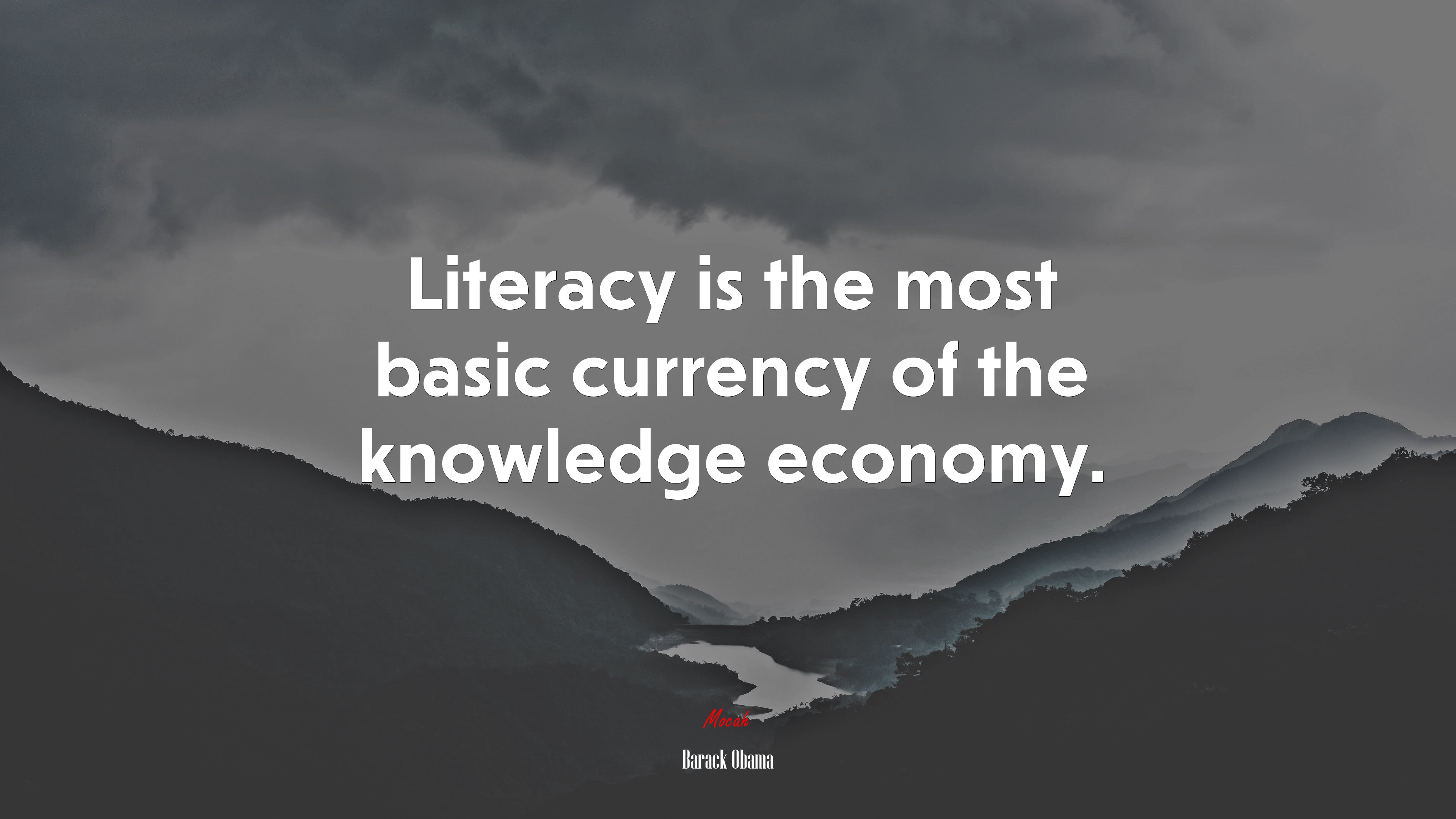 Literacy is the most basic currency of the knowledge economy. | Barack Obama quote HD Wallpaper