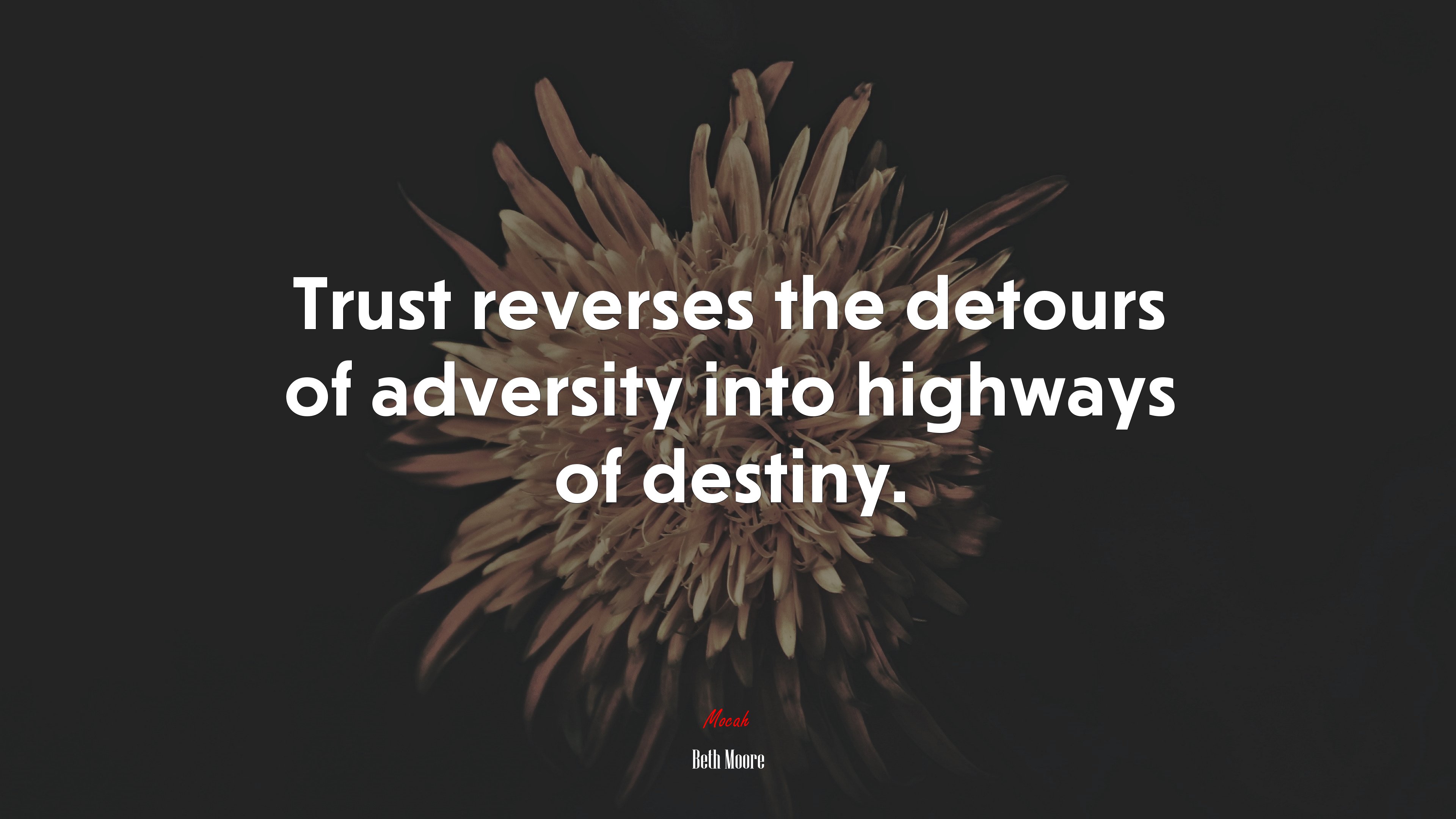 Trust reverses the detours of adversity into highways of destiny. | Beth Moore quote HD Wallpaper