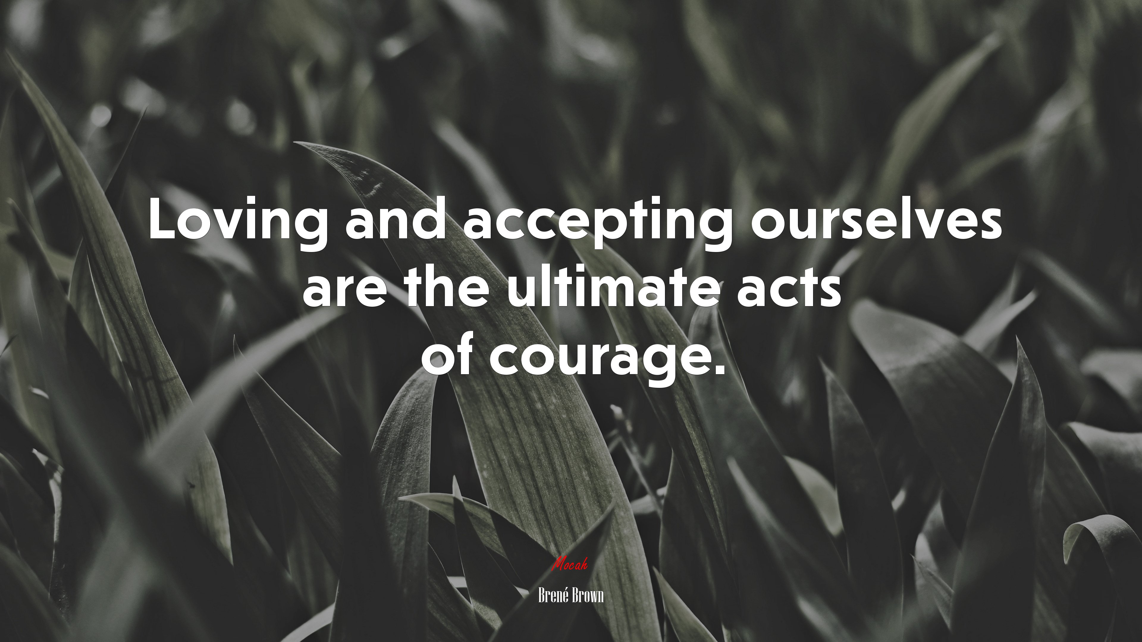Loving and accepting ourselves are the ultimate acts of courage. | Brené Brown quote HD Wallpaper