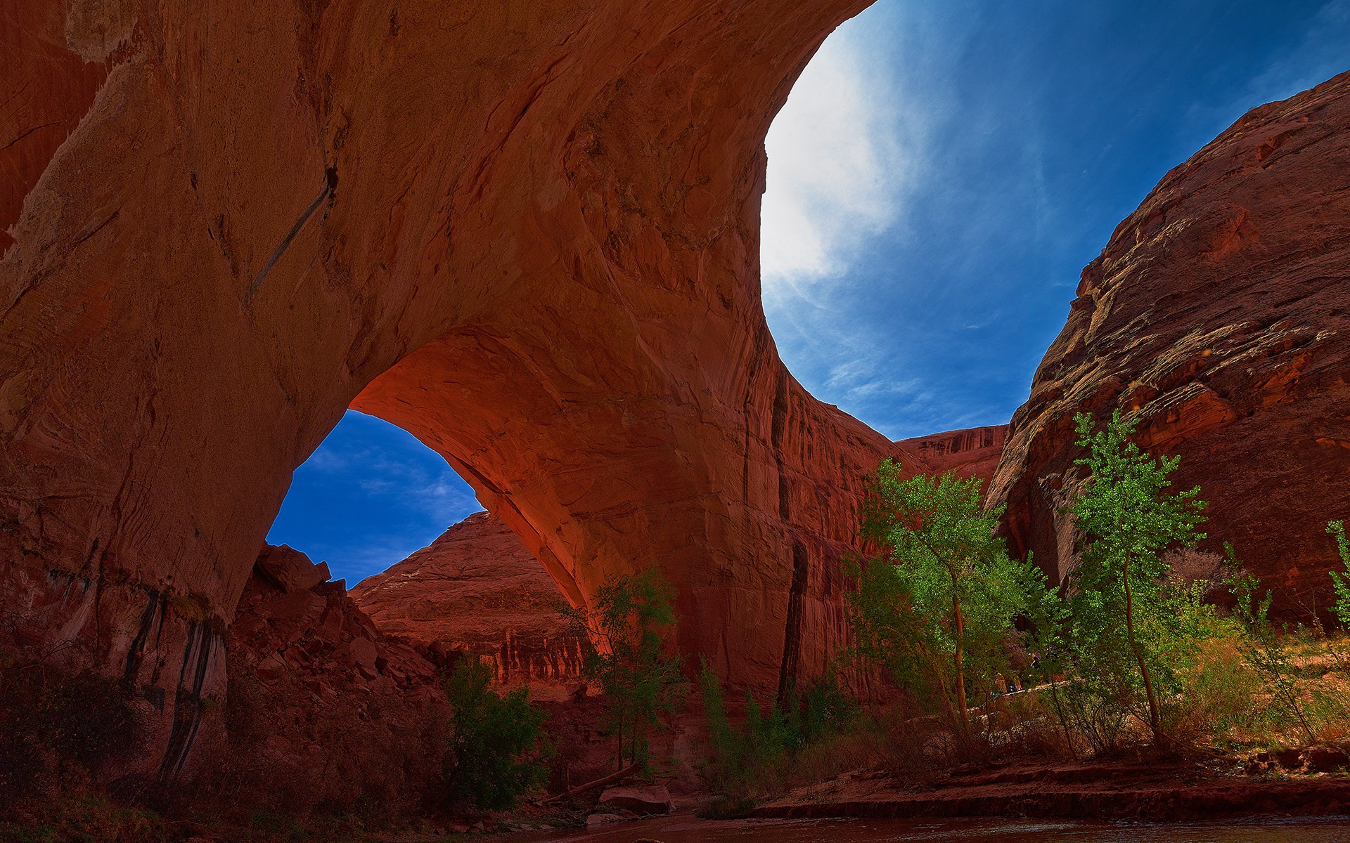 Natural sandstone arch over a canyon with trees HD Wallpaper