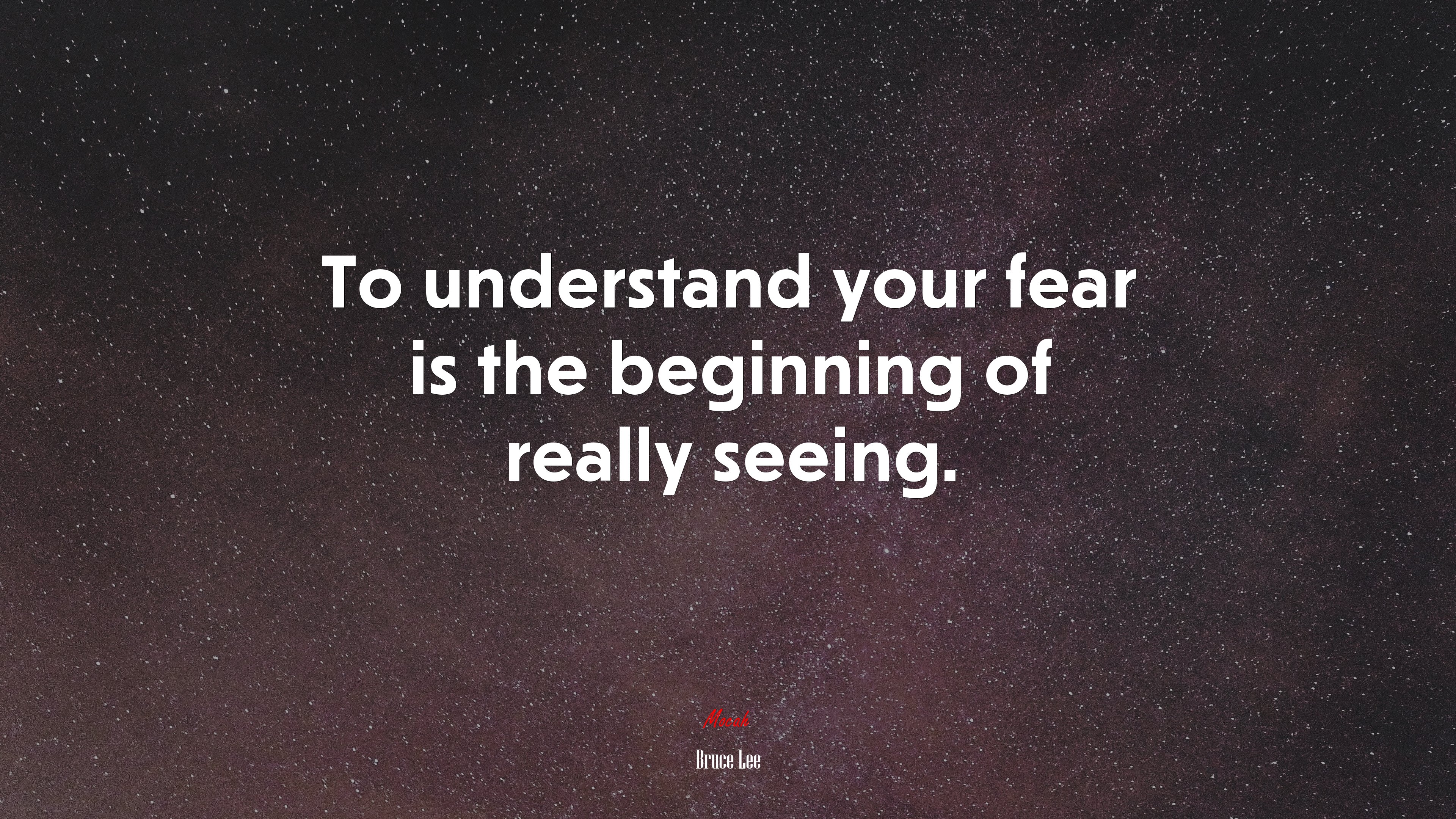 To understand your fear is the beginning of really seeing. | Bruce Lee quote HD Wallpaper