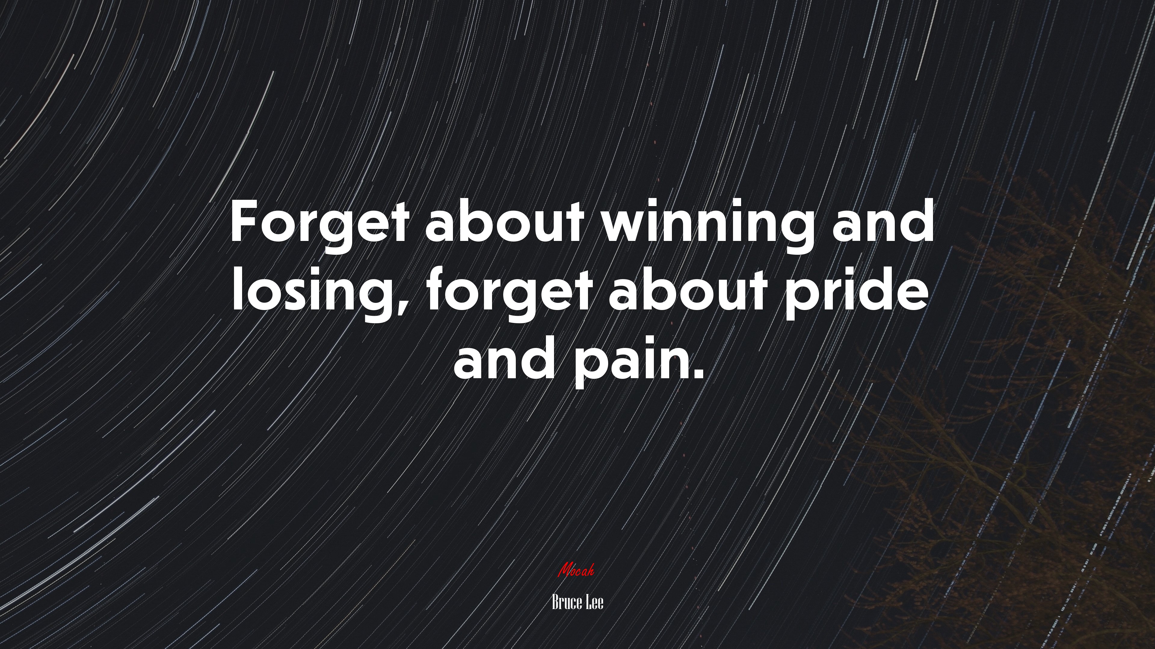 Forget about winning and losing, forget about pride and pain. | Bruce Lee quote HD Wallpaper