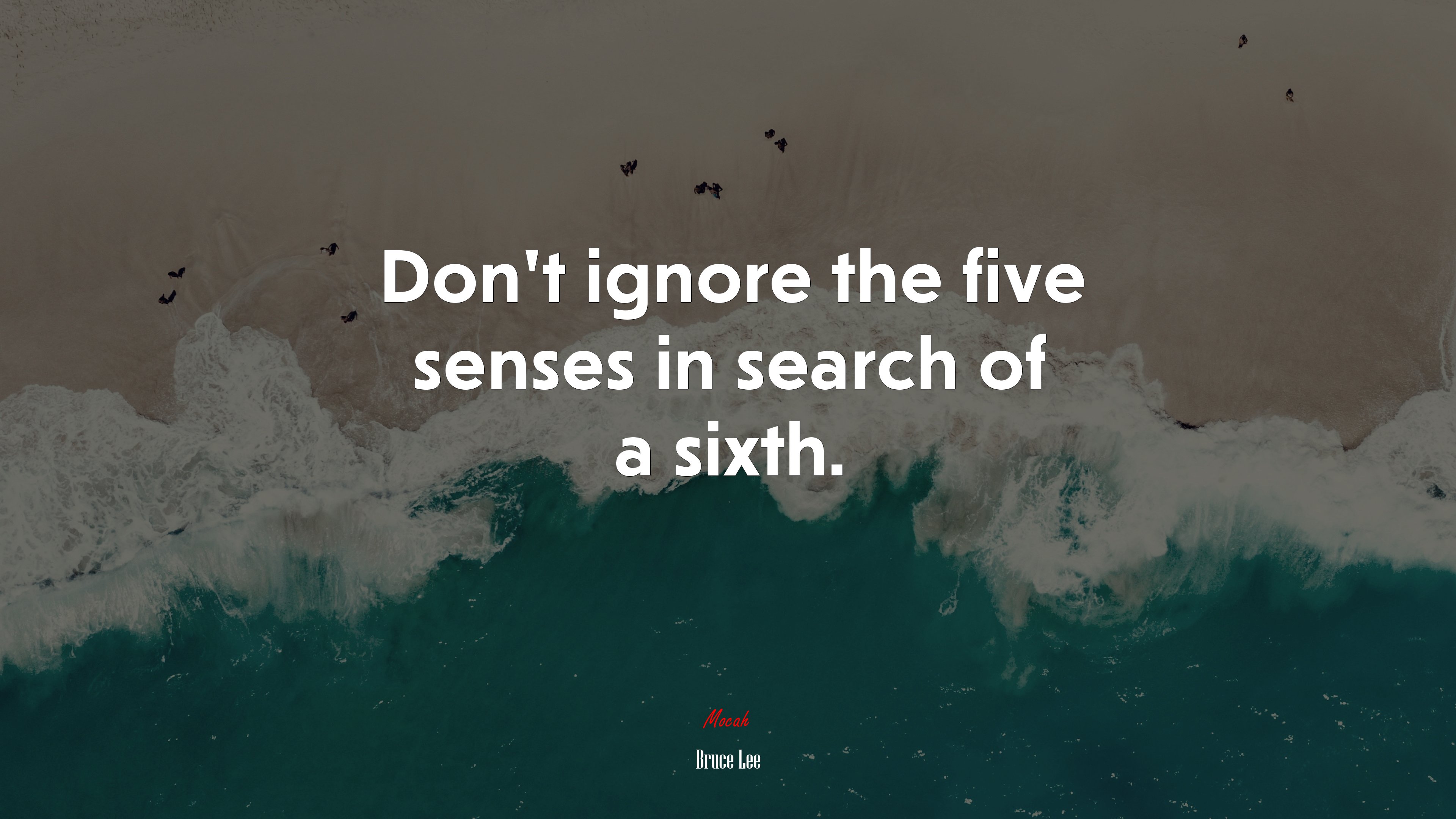 Don’t ignore the five senses in search of a sixth. | Bruce Lee quote HD Wallpaper