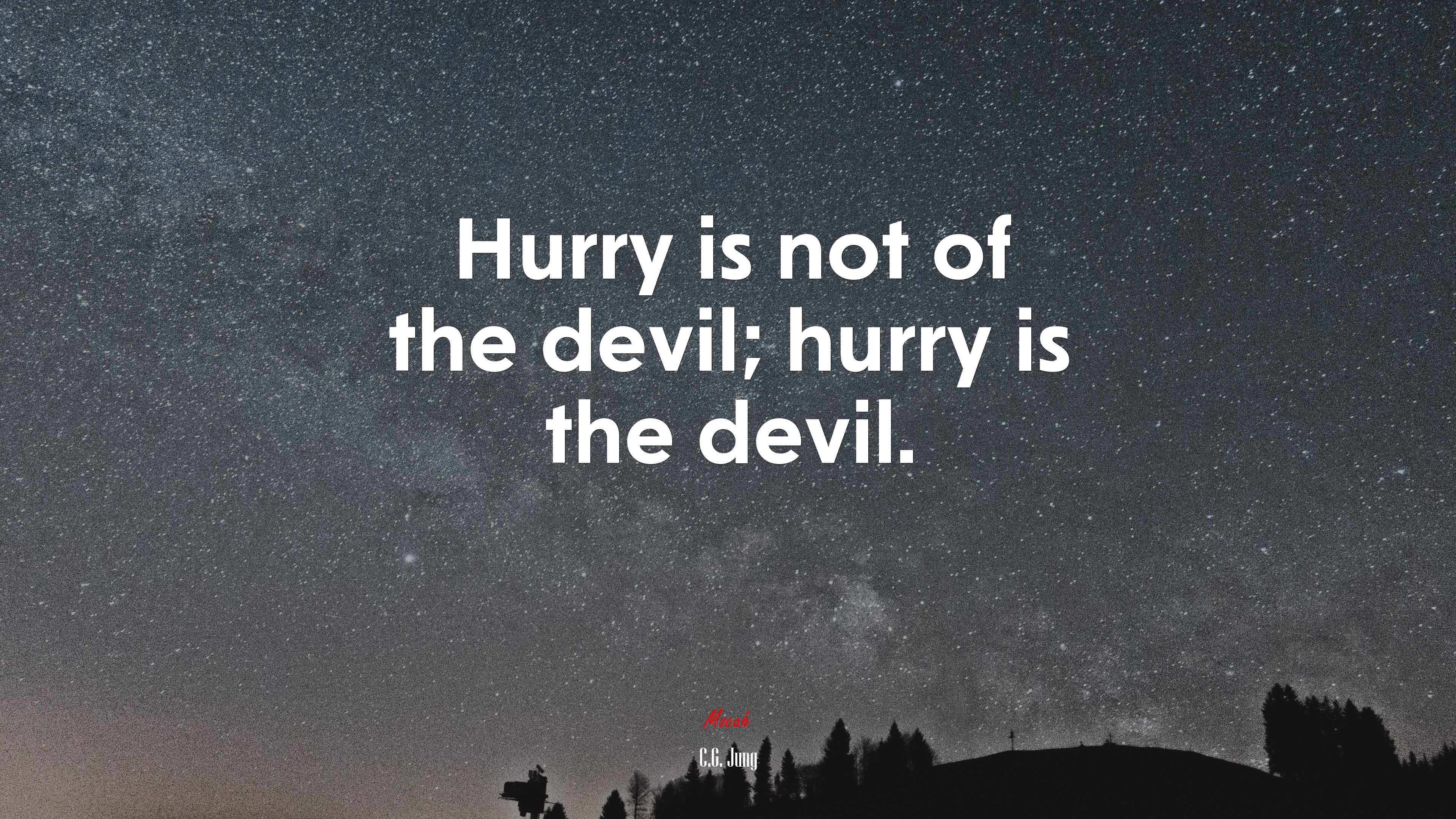 Hurry is not of the devil; hurry is the devil. | C.G. Jung quote HD Wallpaper