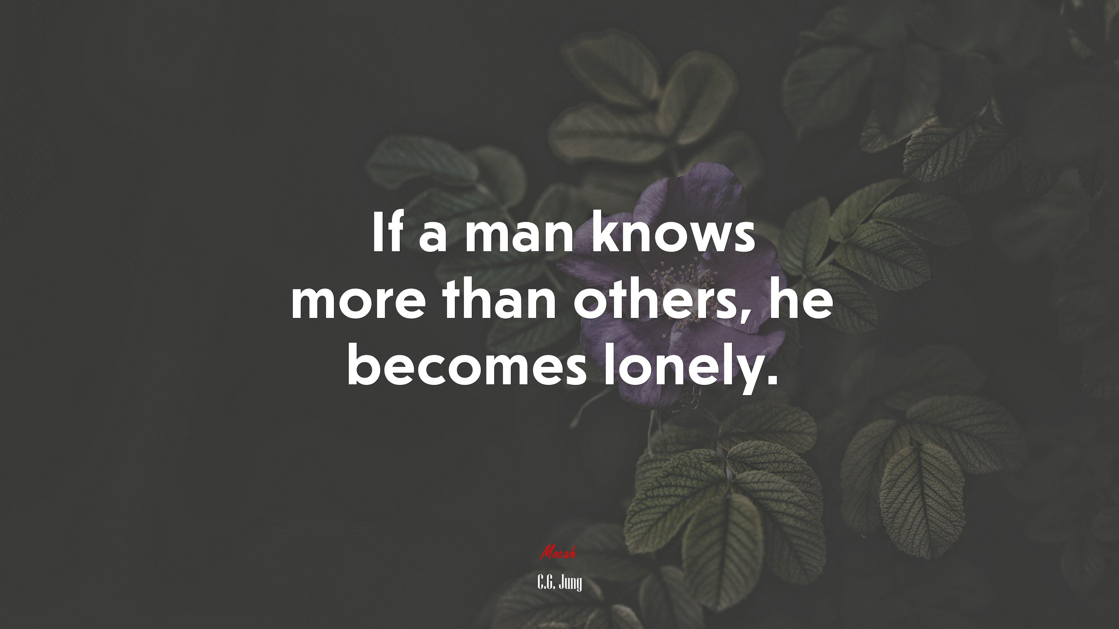 If a man knows more than others, he becomes lonely. | C.G. Jung quote HD Wallpaper