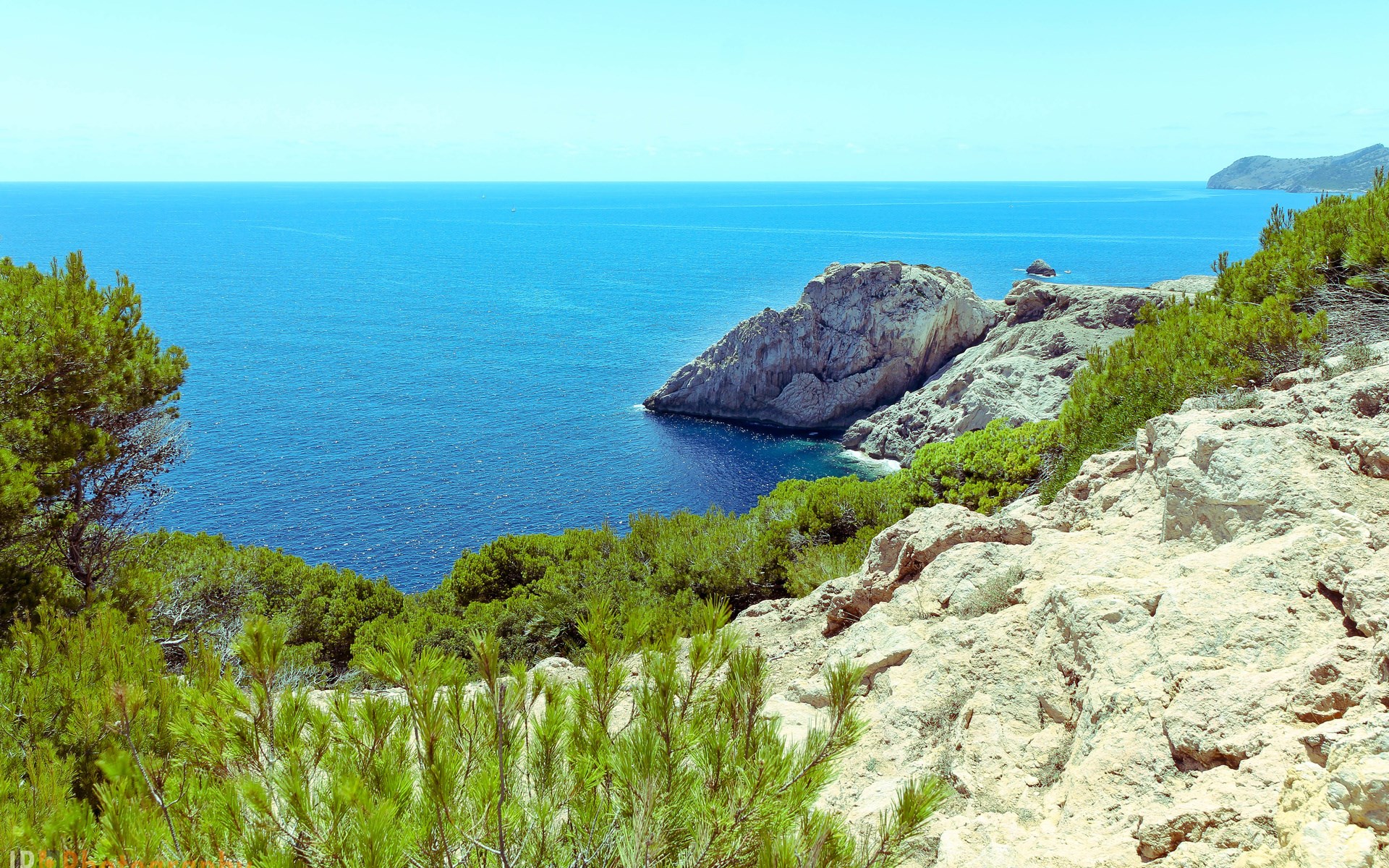 Rocky coastline with blue ocean and green trees HD Wallpaper