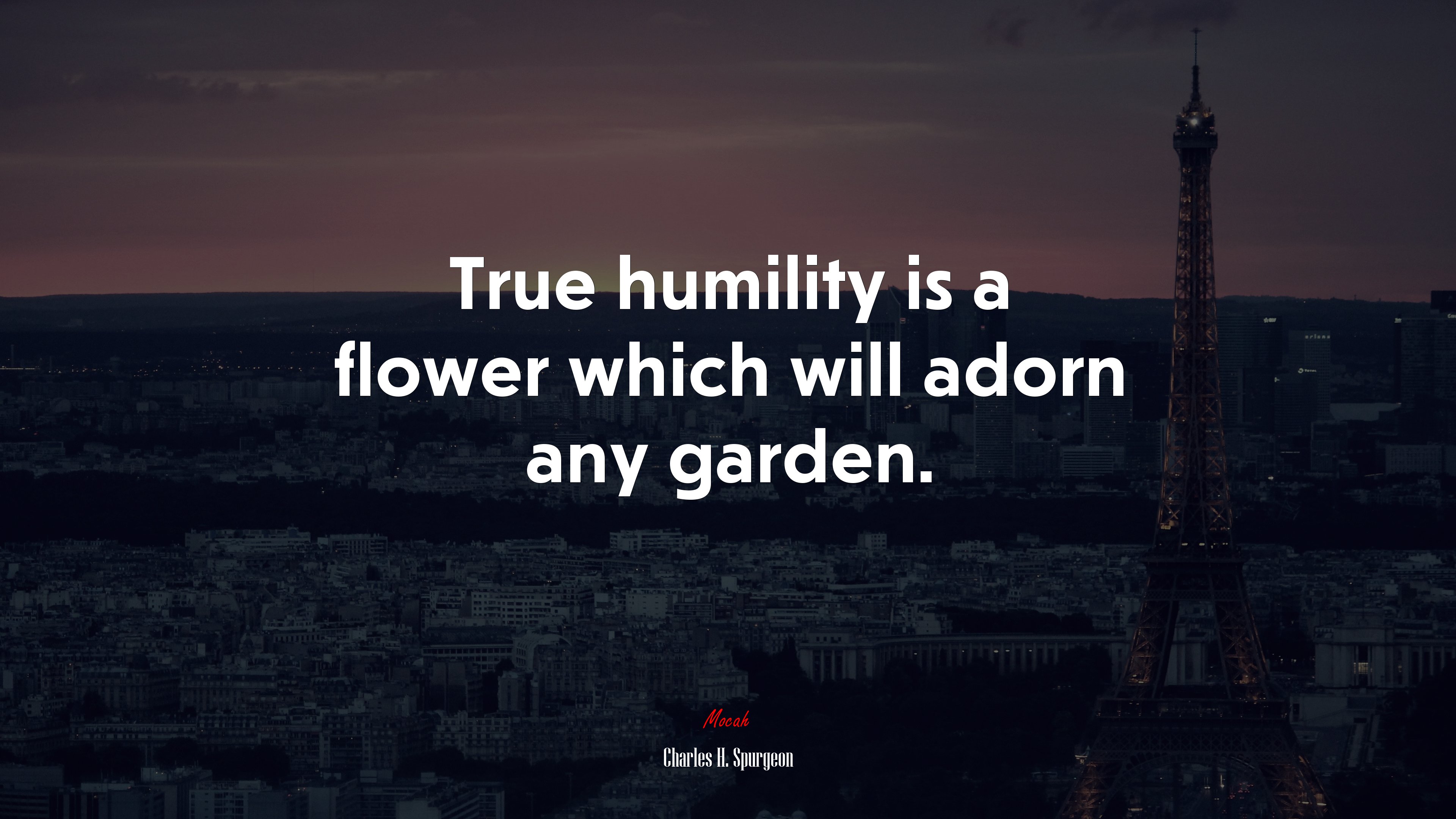 True humility is a flower which will adorn any garden. | Charles H. Spurgeon quote HD Wallpaper