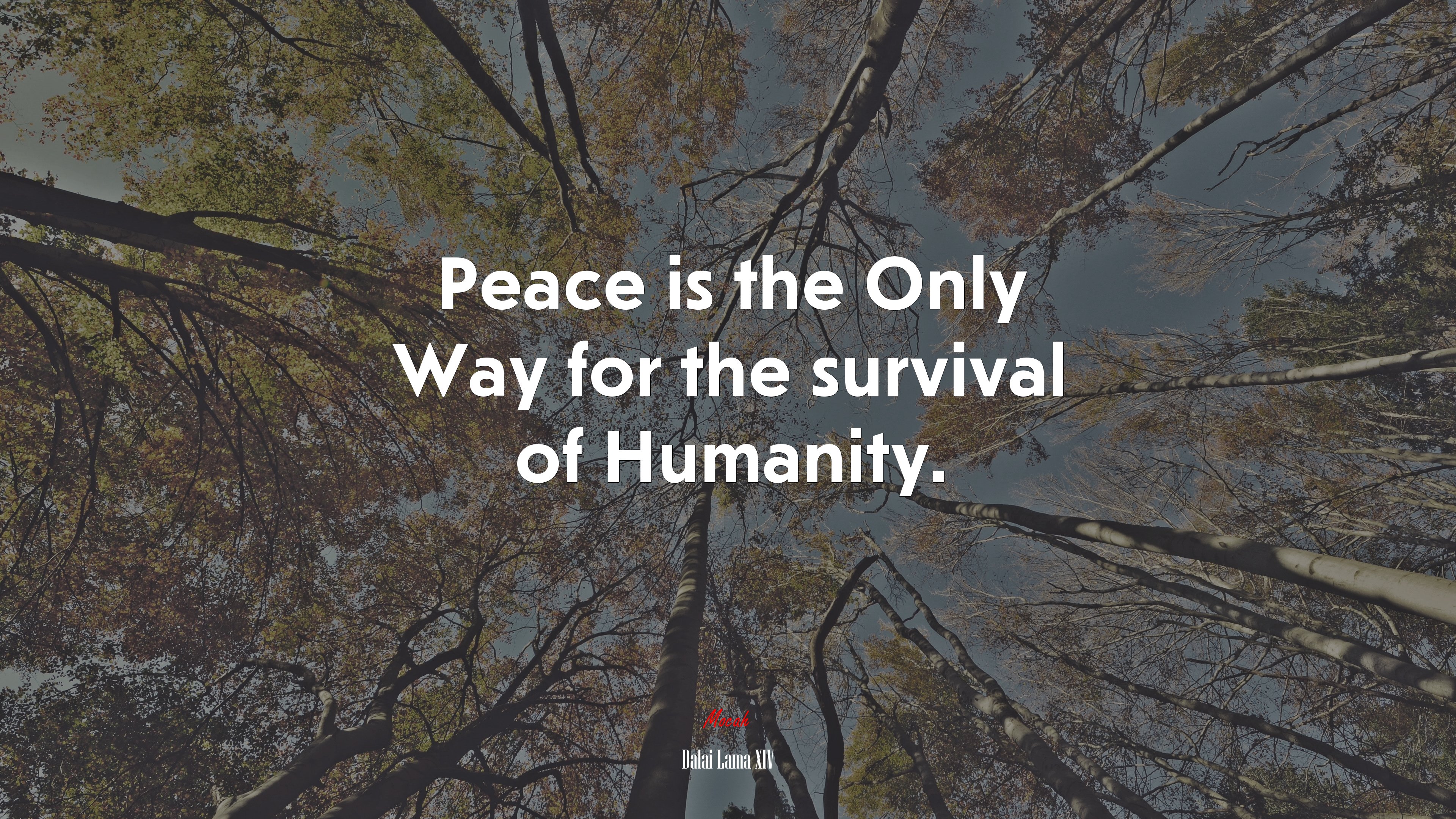 Peace is the Only Way for the survival of Humanity. | Dalai Lama XIV quote HD Wallpaper