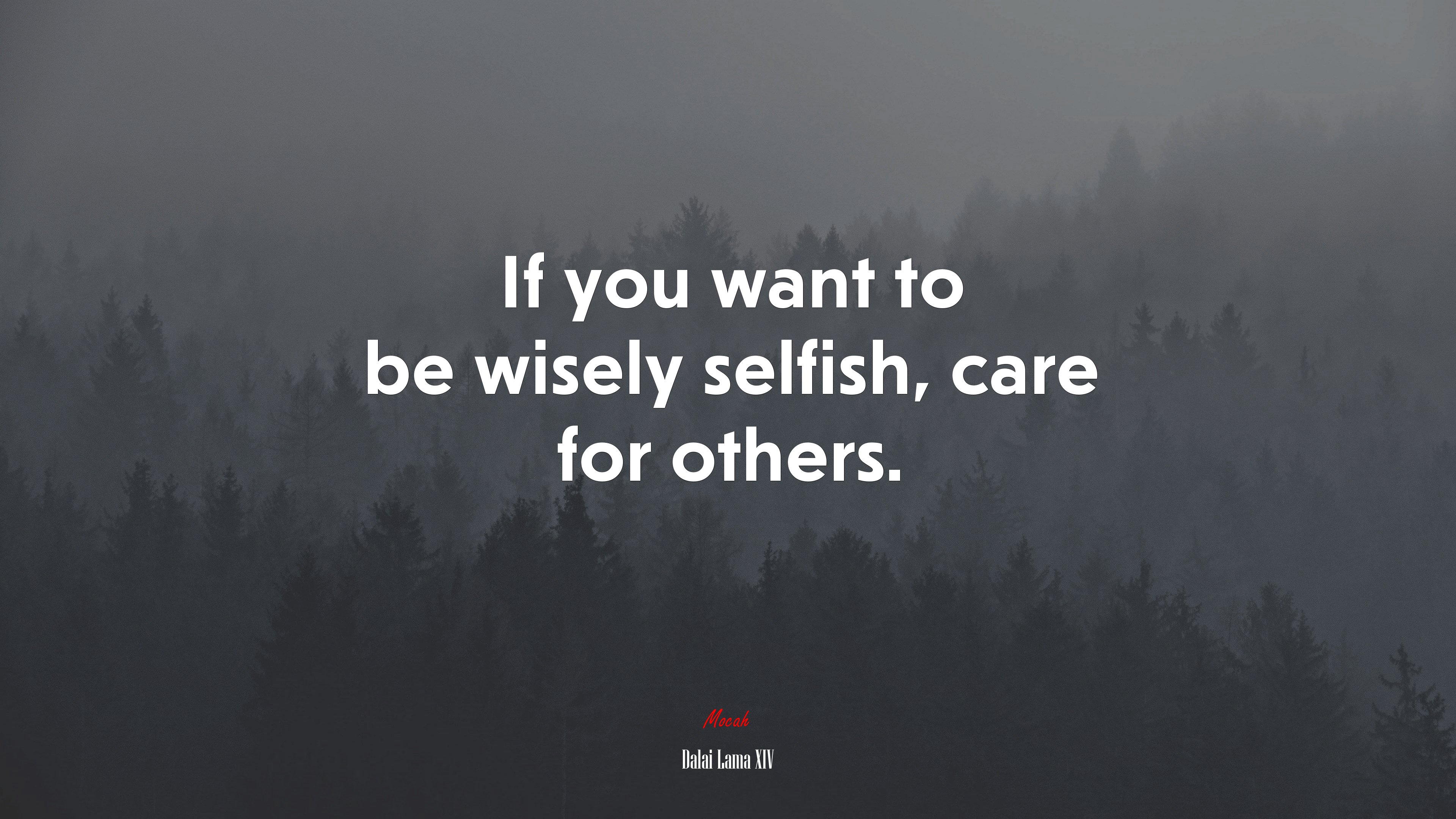 If you want to be wisely selfish, care for others. | Dalai Lama XIV quote HD Wallpaper