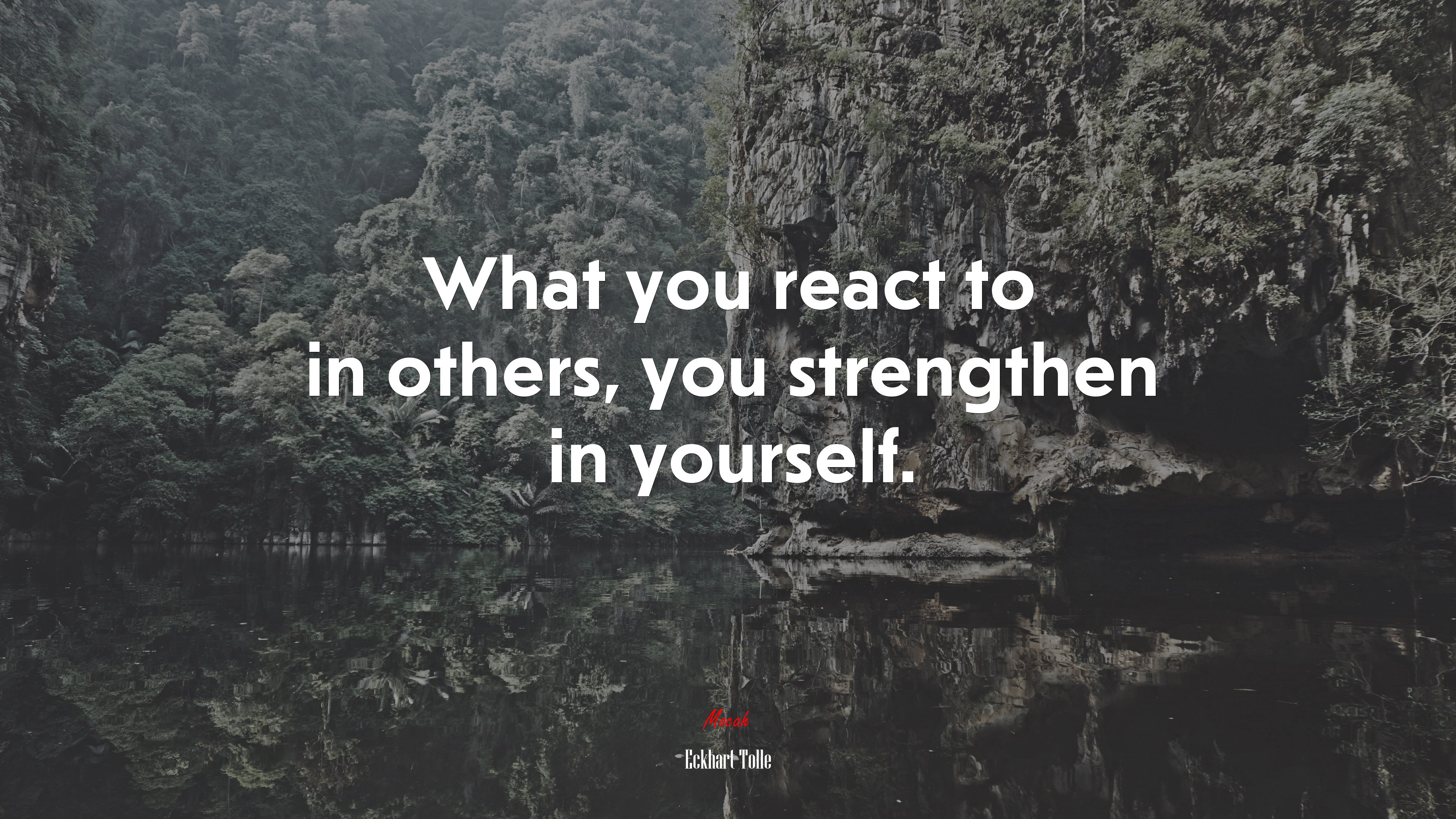 What you react to in others, you strengthen in yourself. | Eckhart Tolle quote HD Wallpaper