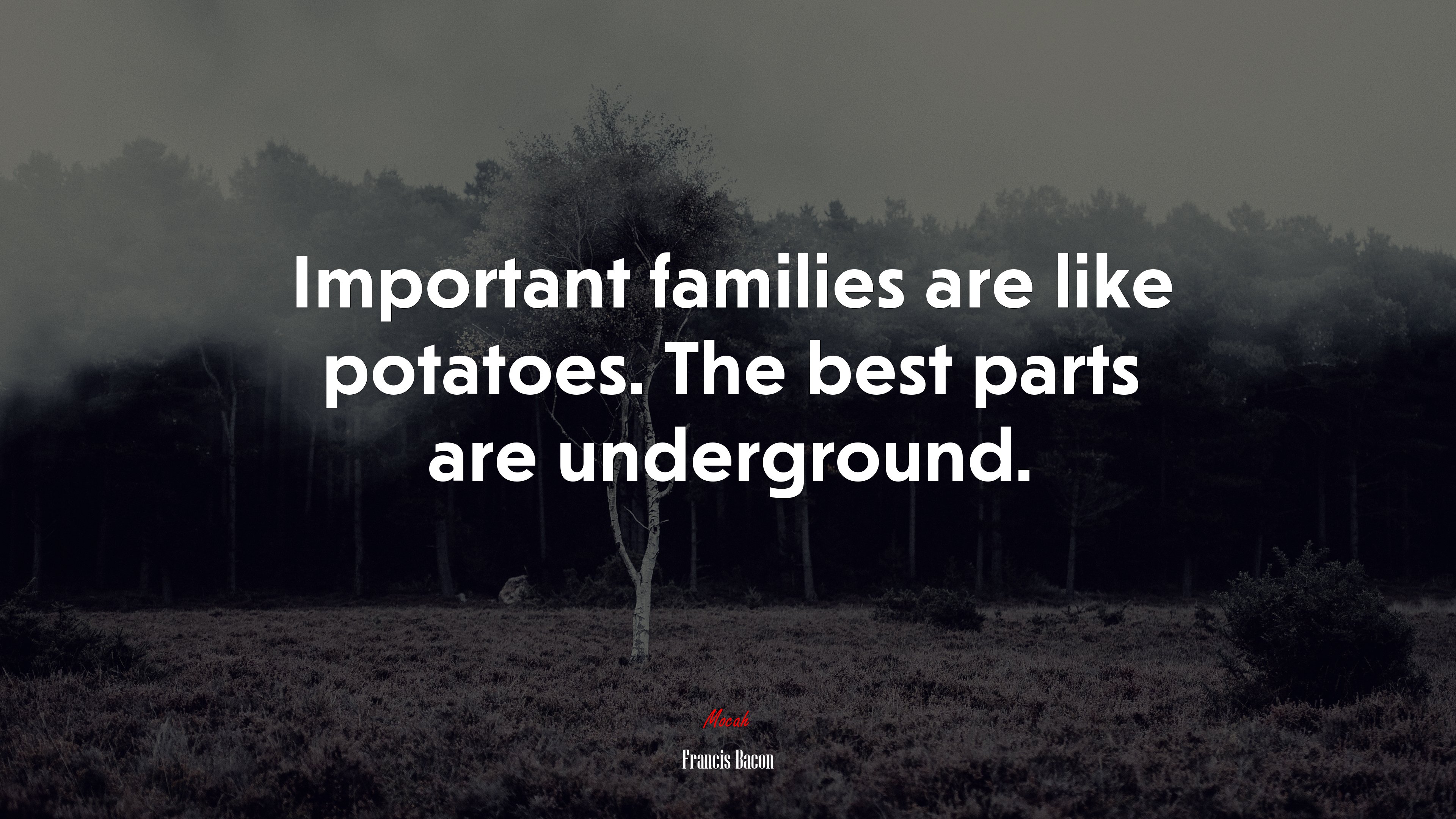Important families are like potatoes. The best parts are underground. | Francis Bacon quote HD Wallpaper