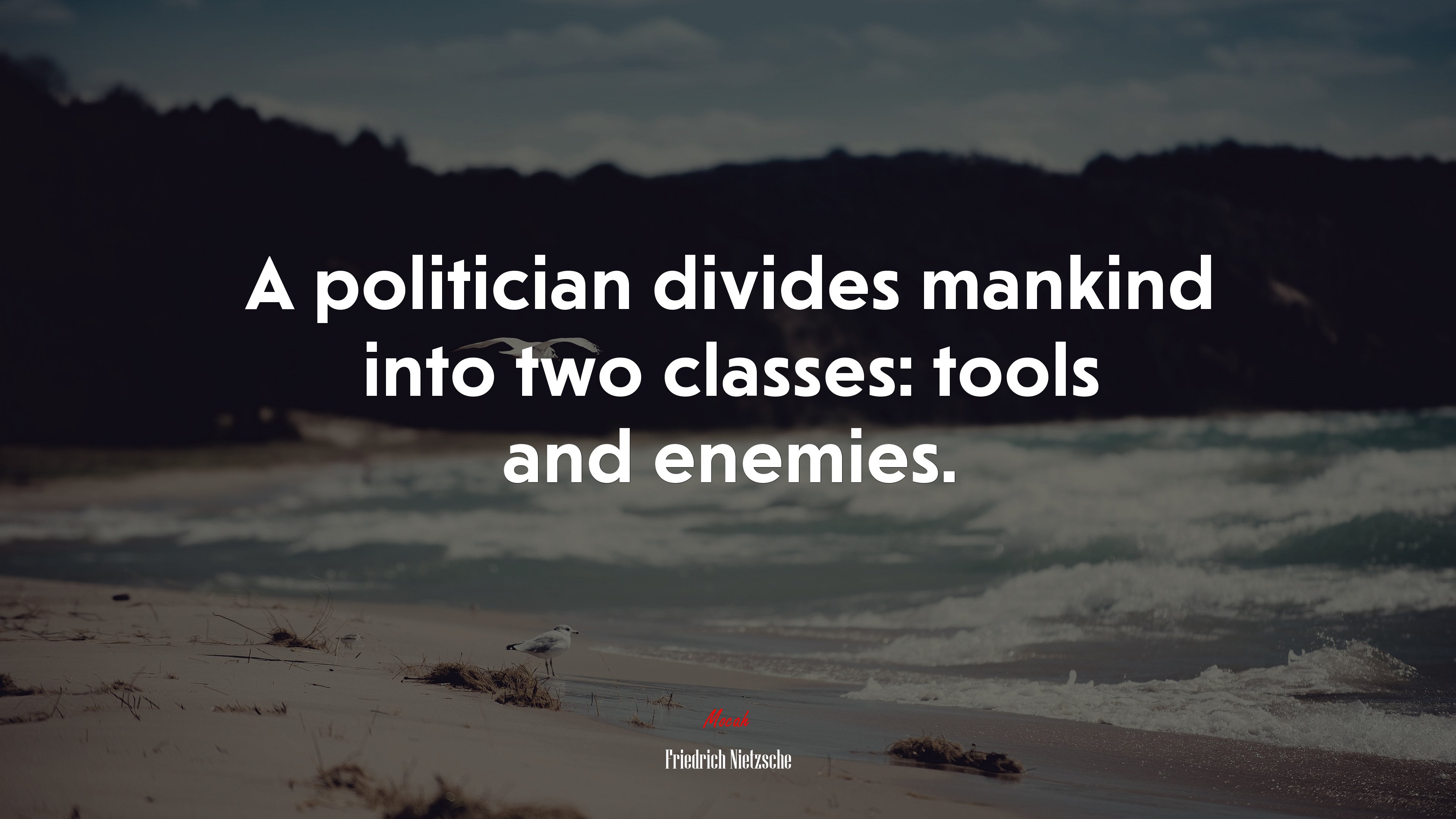 A politician divides mankind into two classes: tools and enemies. | Friedrich Nietzsche quote HD Wallpaper