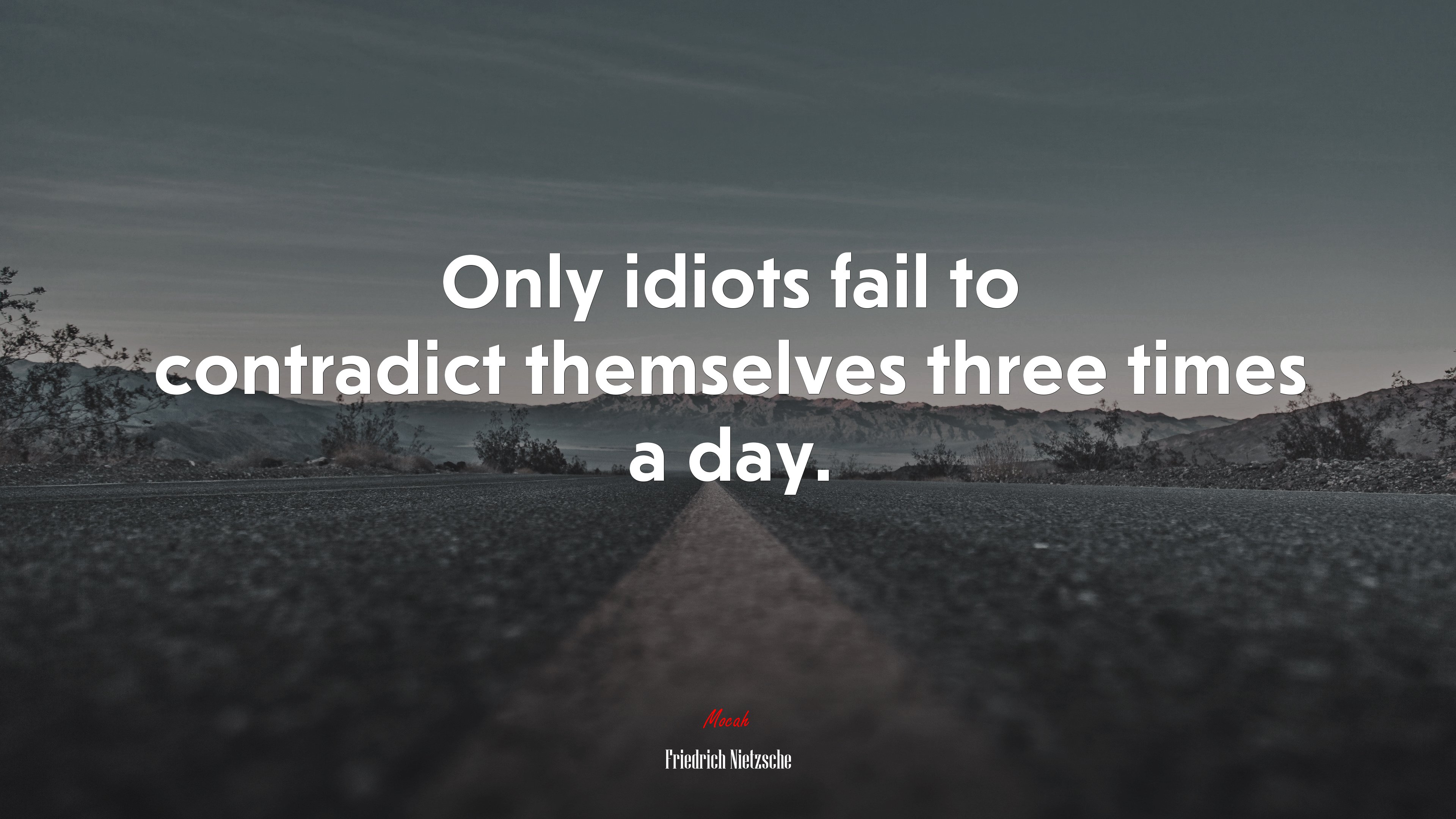 Only idiots fail to contradict themselves three times a day. | Friedrich Nietzsche quote HD Wallpaper
